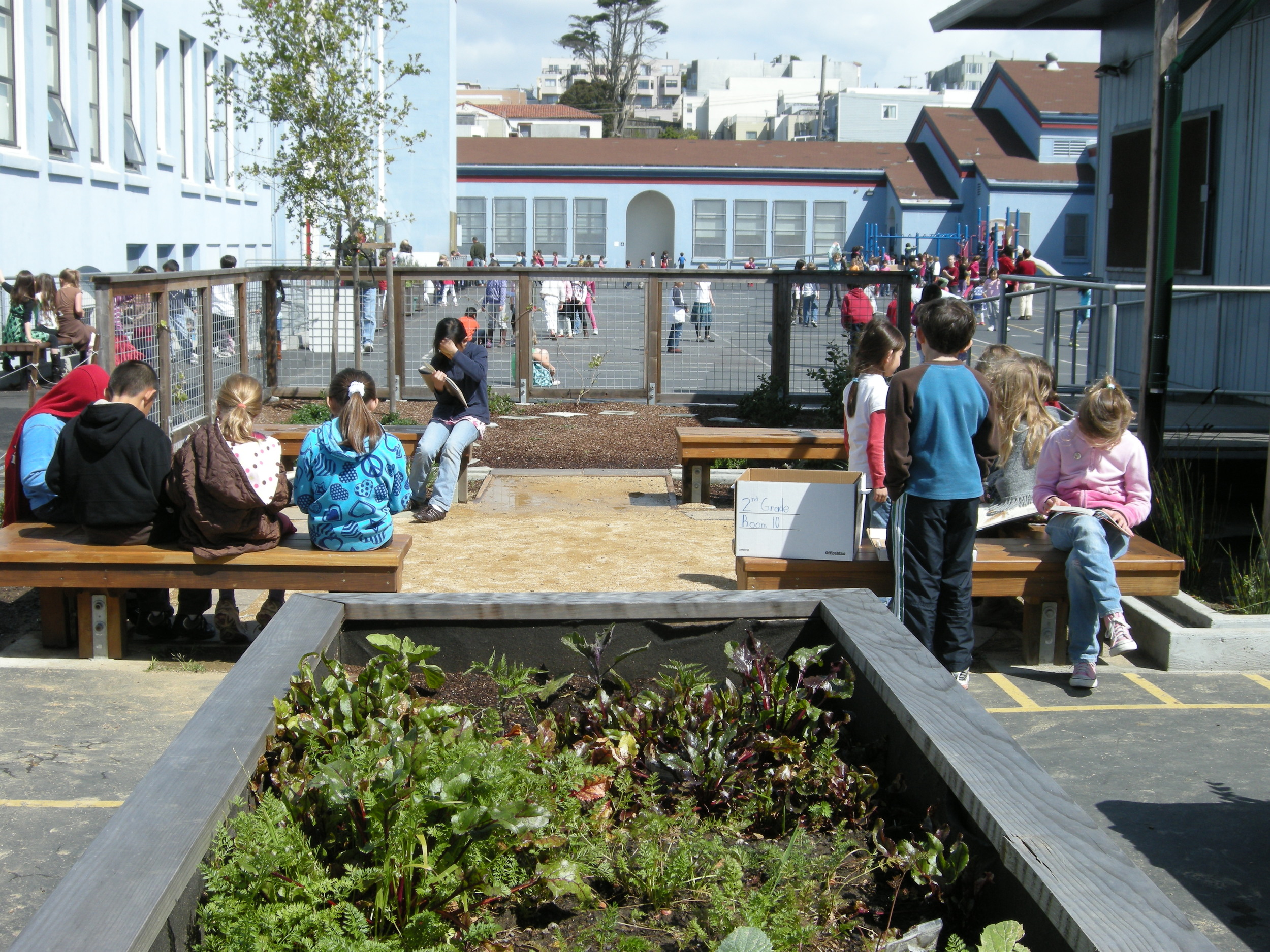 NewOutdoorClassroom.JPG