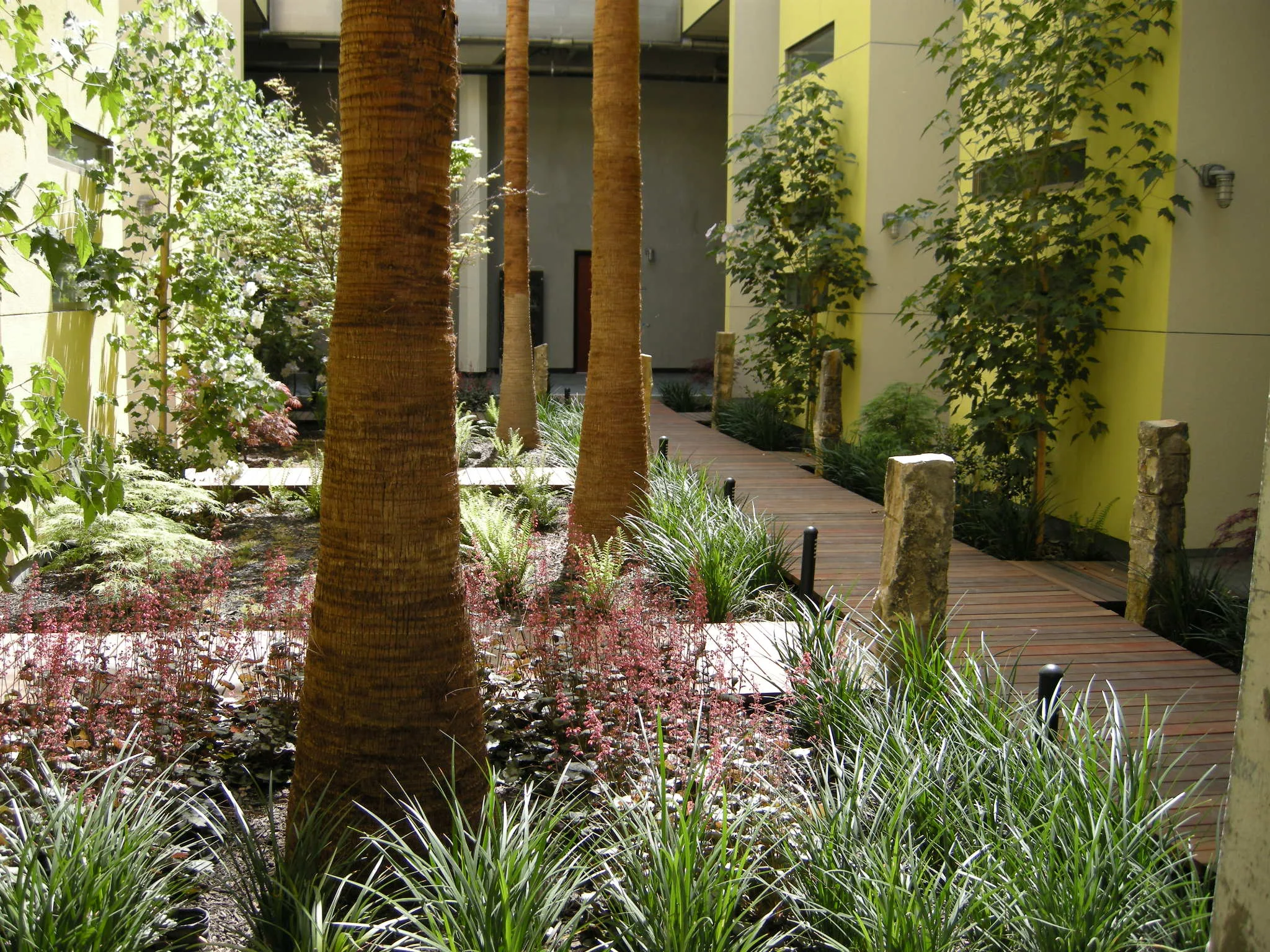 DSCN2500.JPG