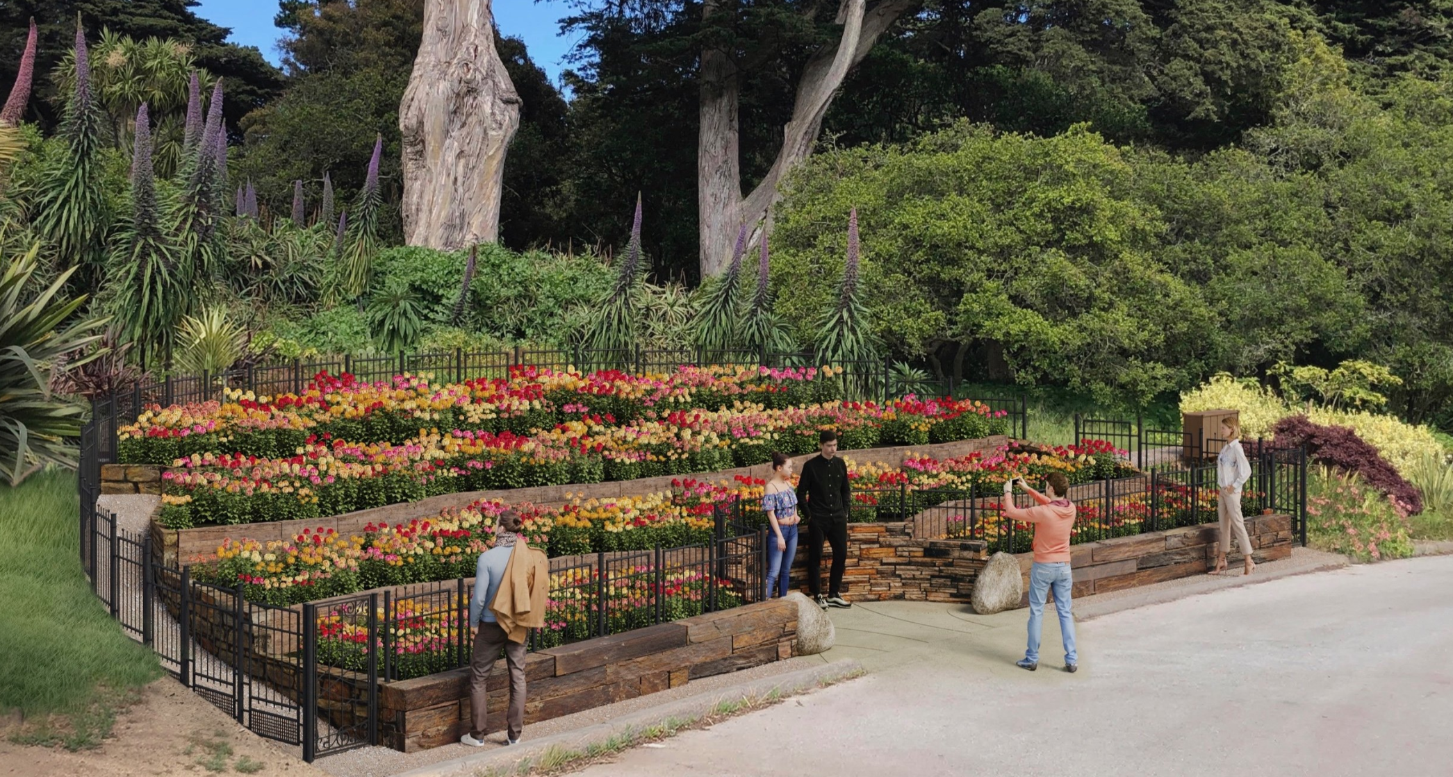 Dahlia Garden - Golden Gate Park