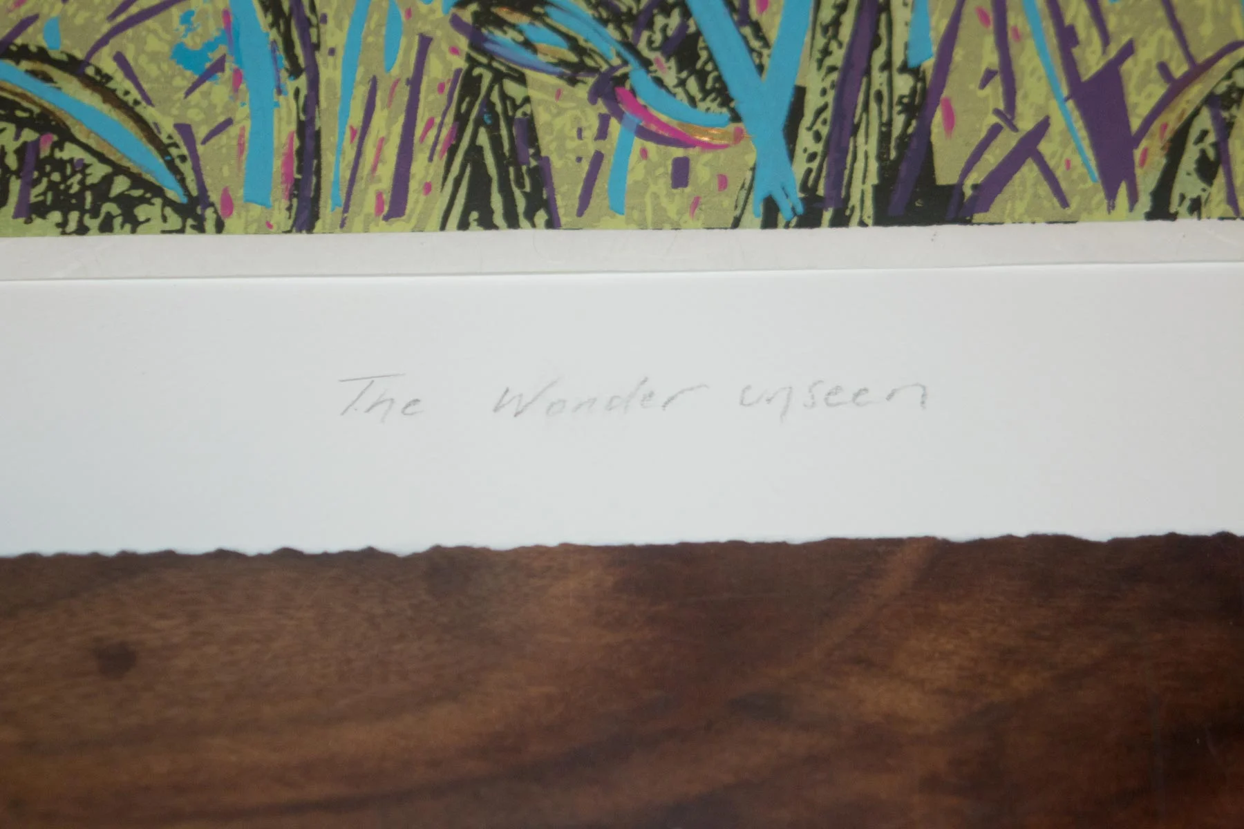 kelie-miller-The Wonder Unseen13.jpg