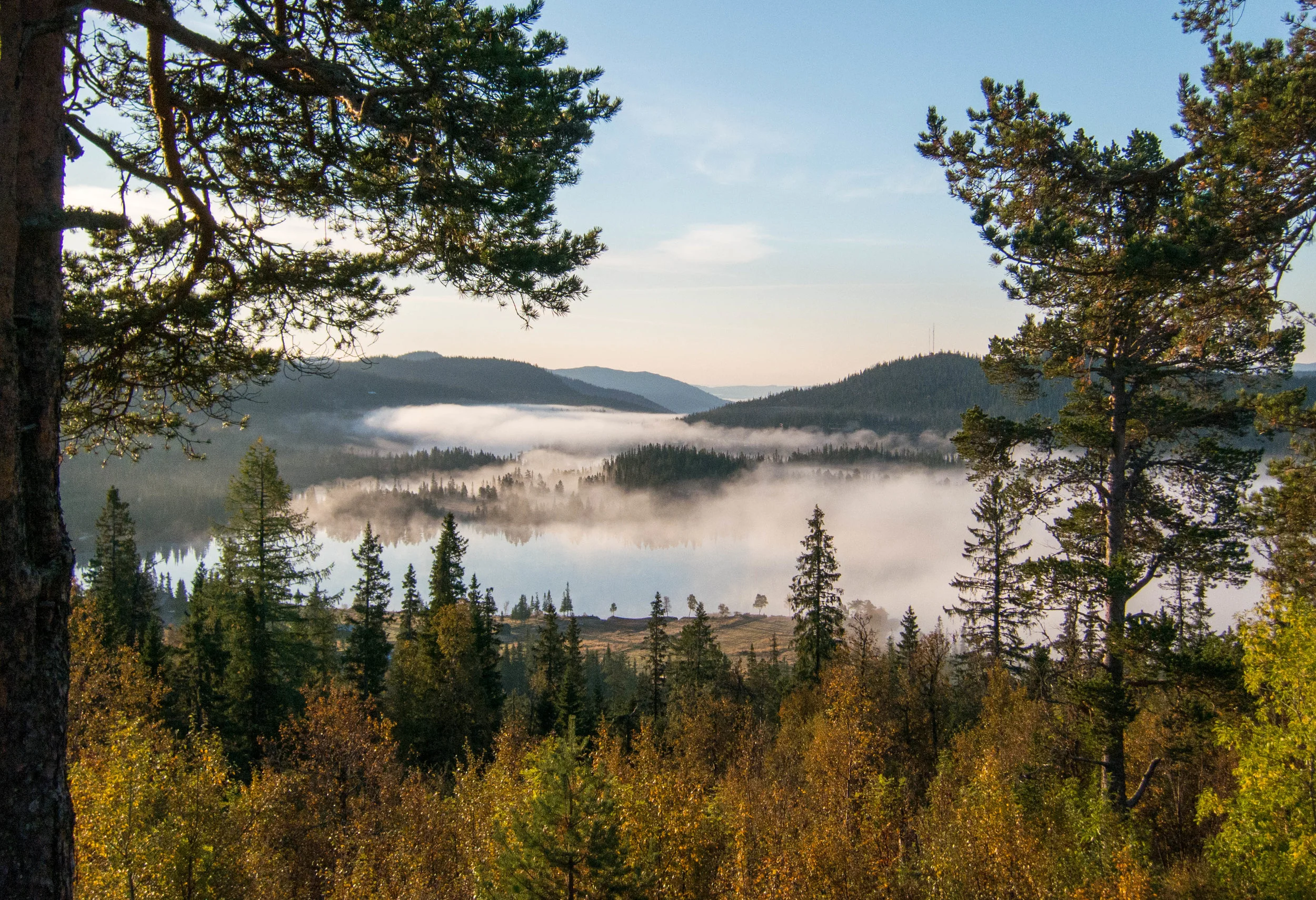 Utsikt over vann i Tuddal