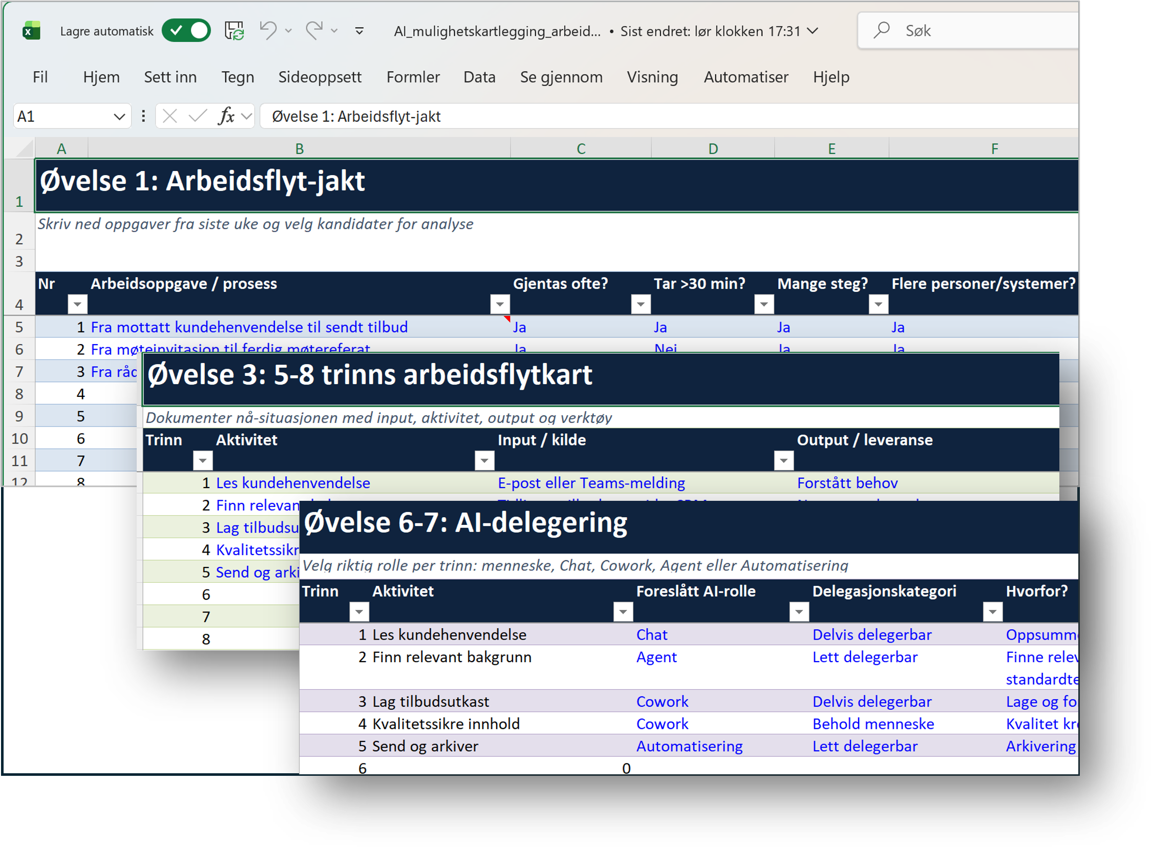Alle arbeidsflyter dokumenteres i Excel