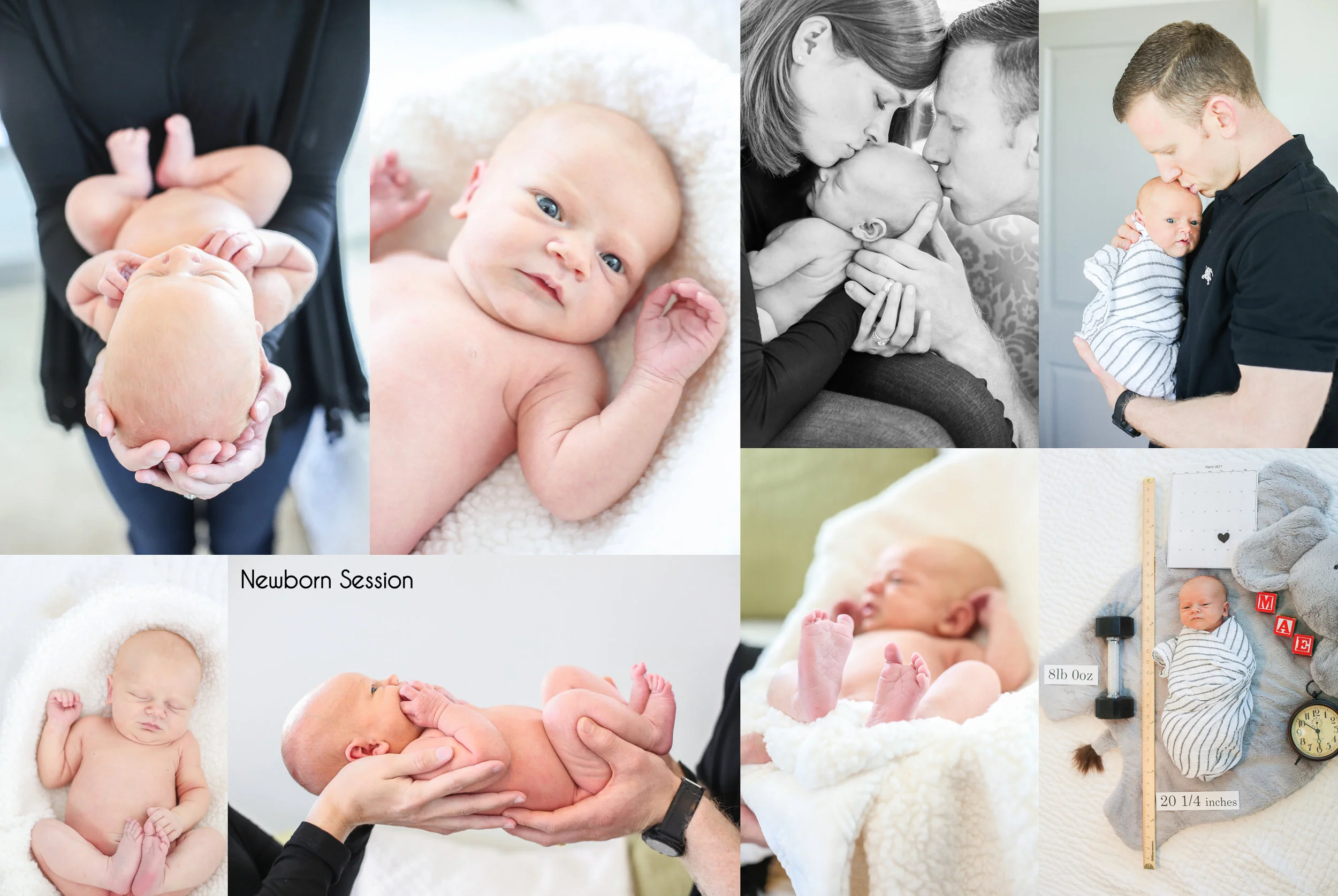 Newborn Session.jpg