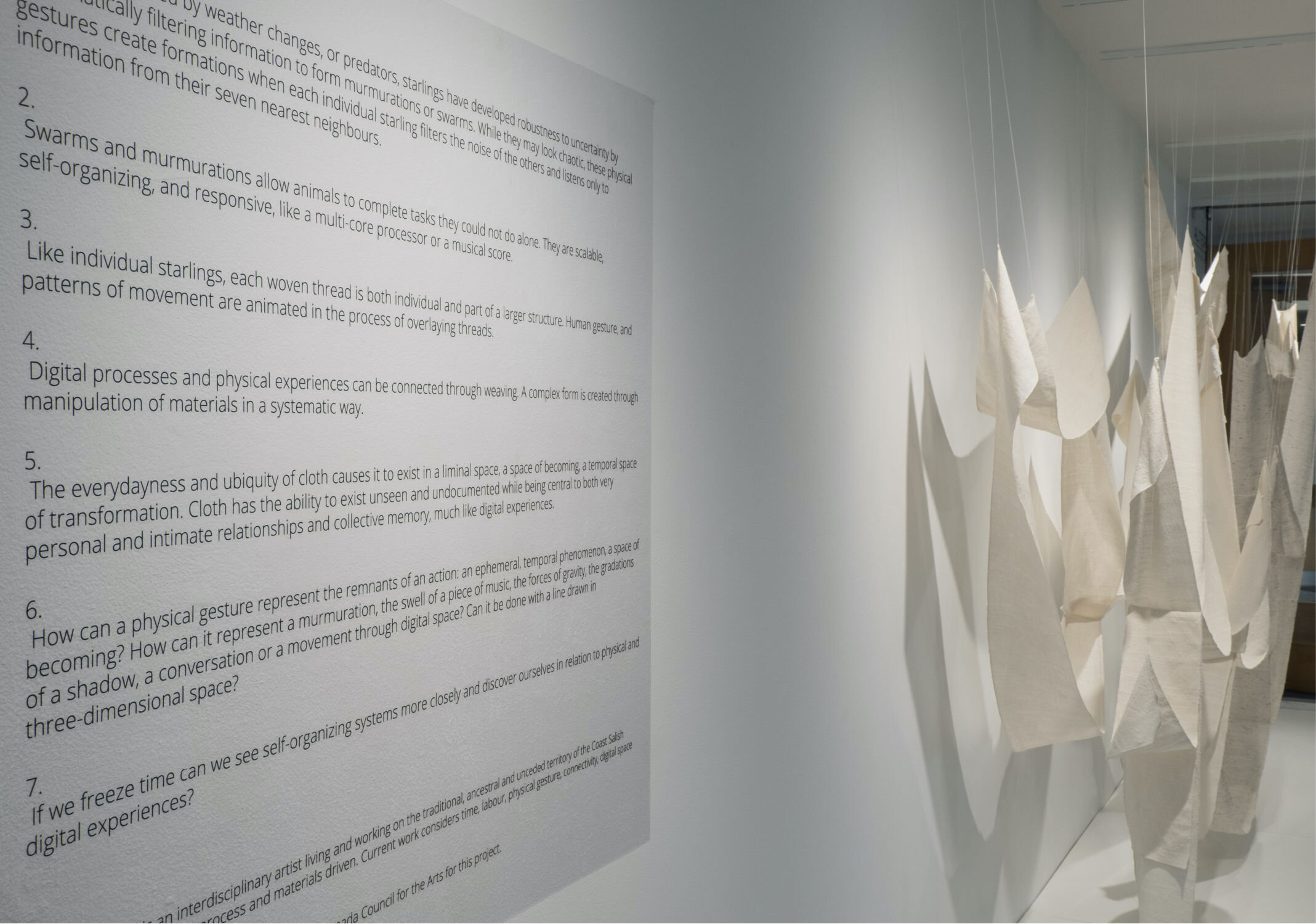  Robustness to Uncertainty | cotton, linen, silk | 2020 | Alternator Centre for Contemporary Art 