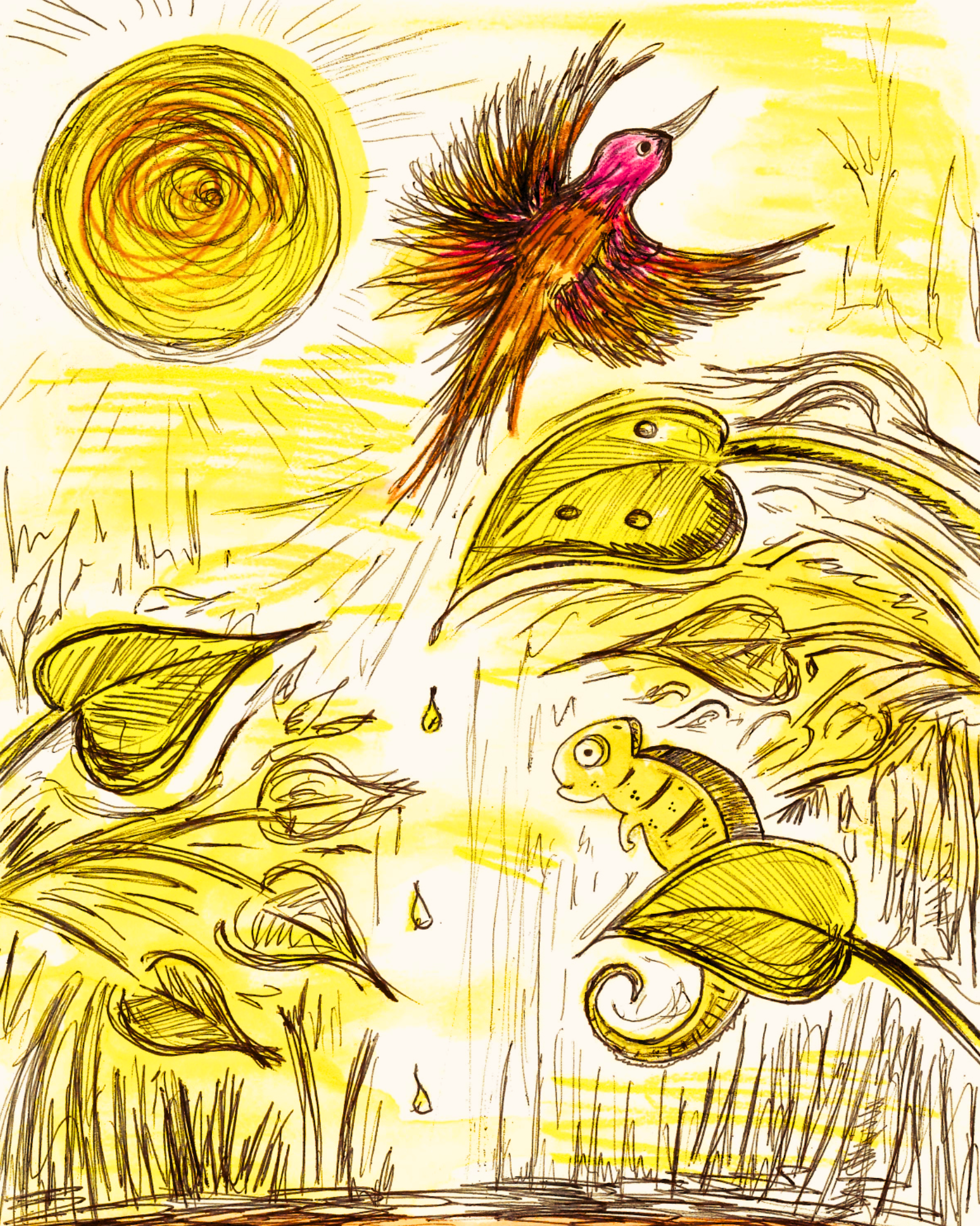 Chameleon's Colour Quest paperback (5).png