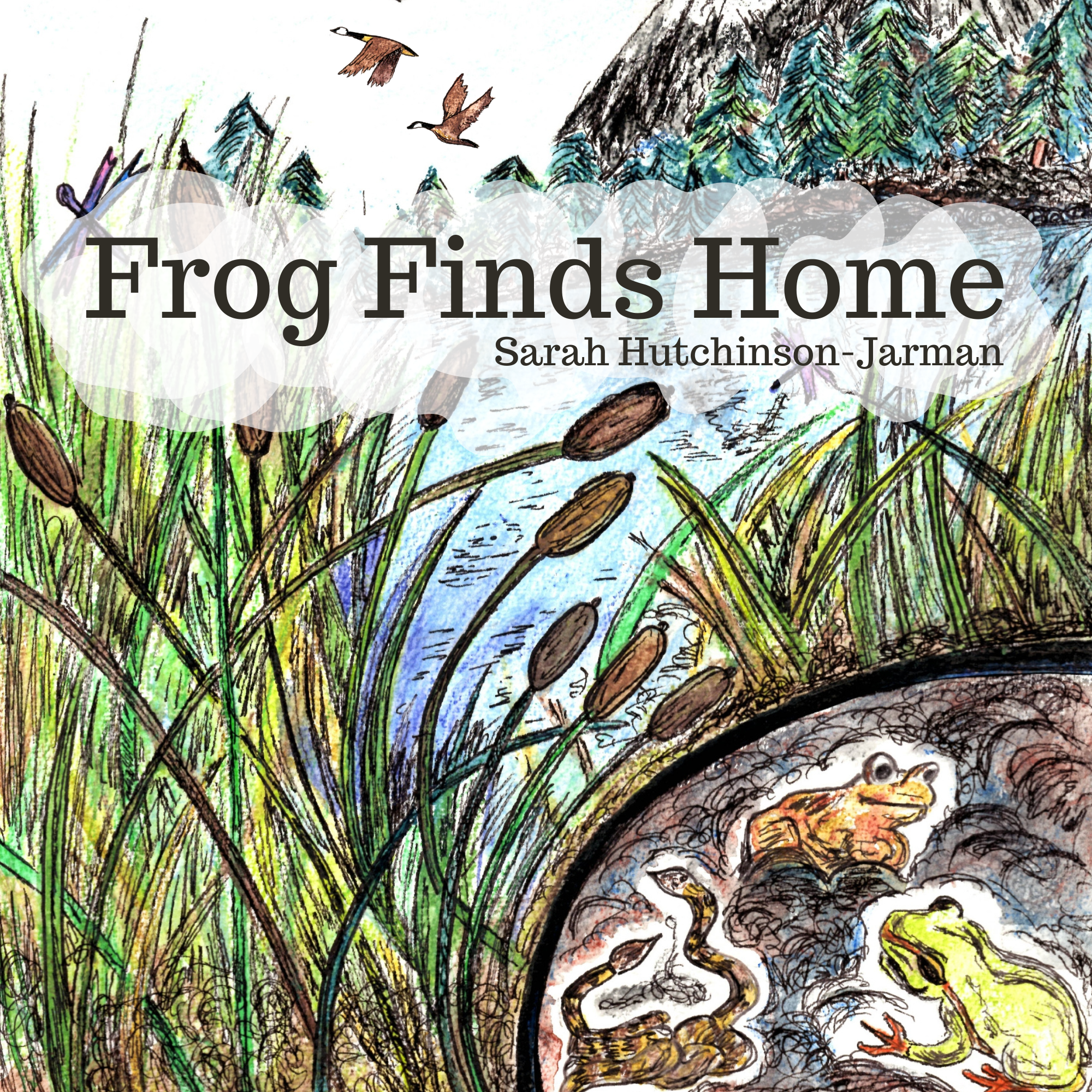 Frog Finds Home PDF (13).png