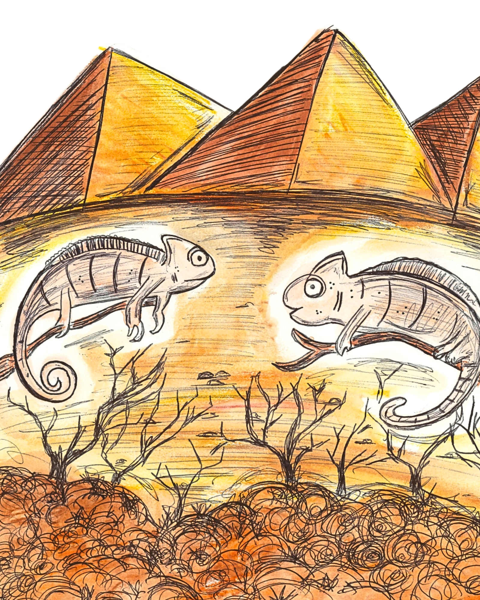 Chameleon's Colour Quest paperback (1).png