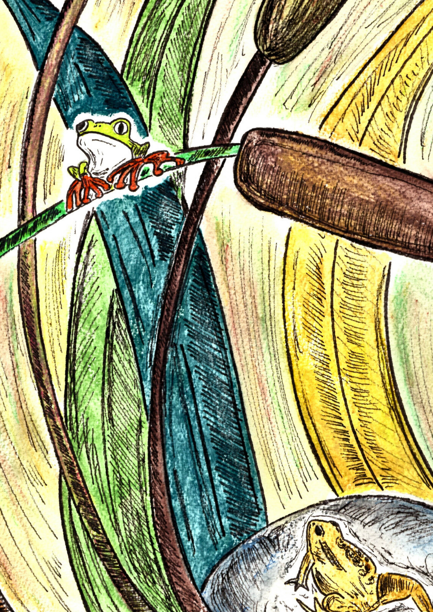 Frog Finds Home reeds poster.png