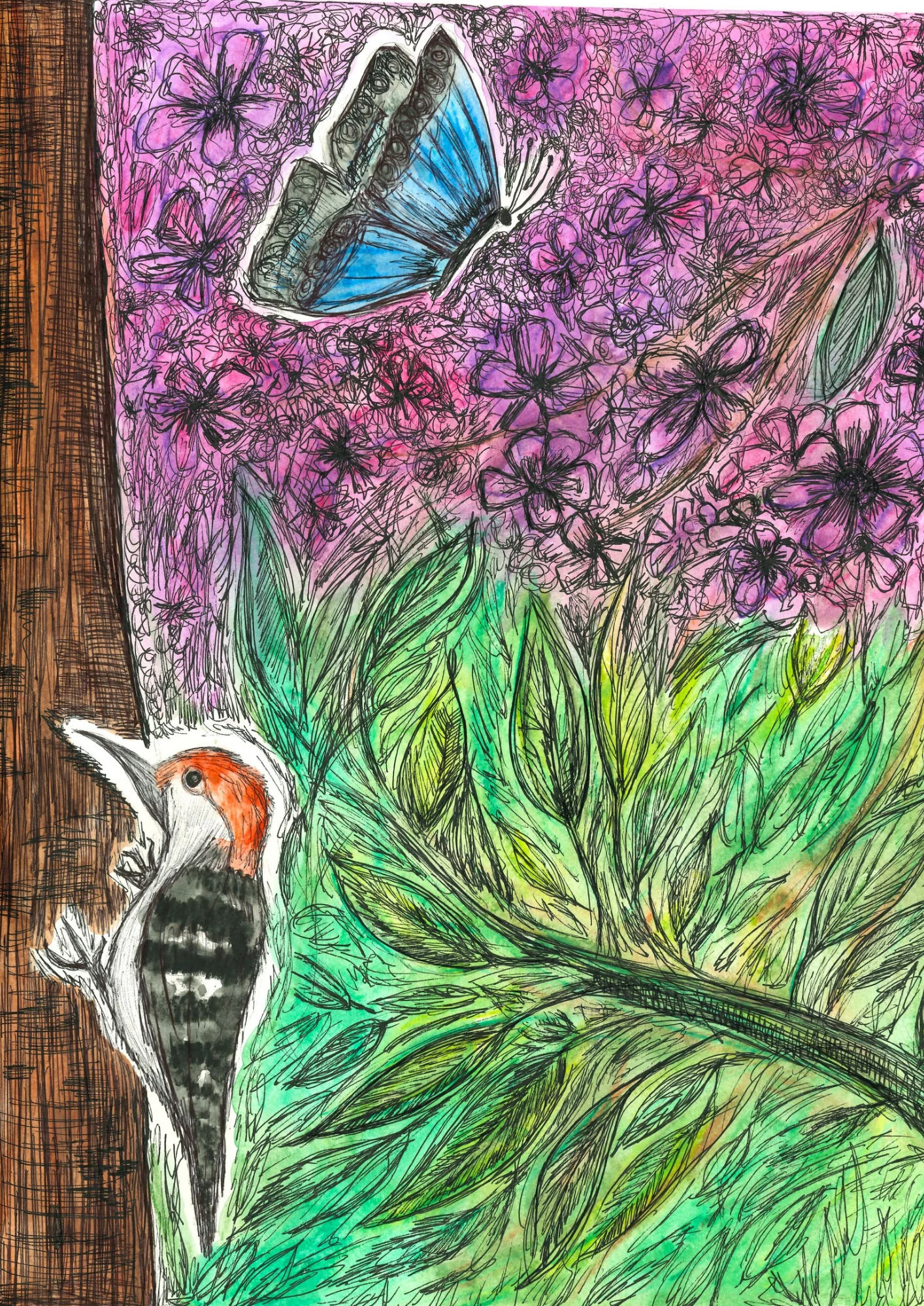 I'm glad I'm not a woodpecker Images PDF_20260511_103828_0000.png