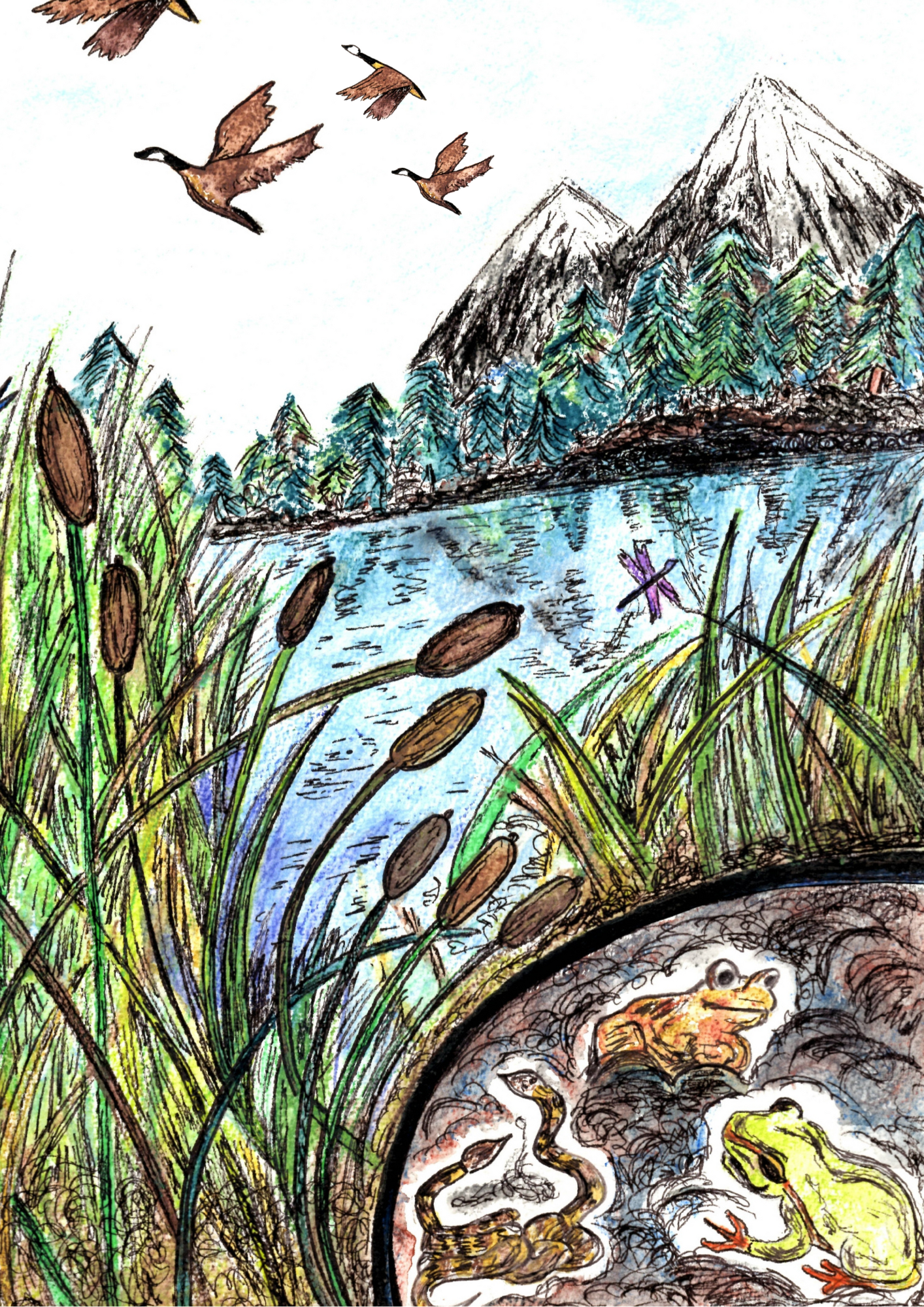Frog Finds Home cover poster.png