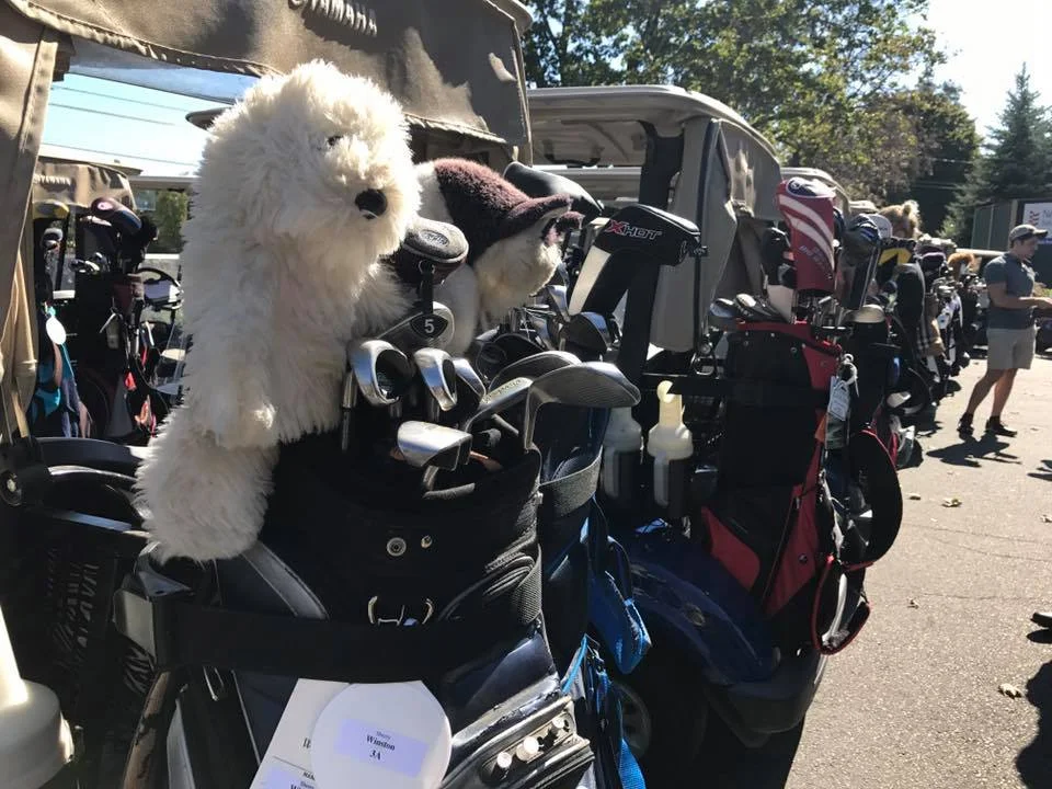 golf.jpg