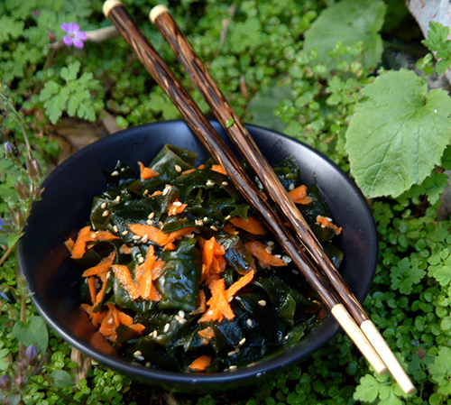 wakame salad-chef-lisa.jpg