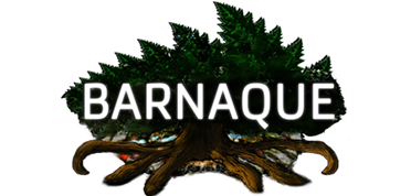 Barnaque_LOGO-Nouveau2017-Petit.png