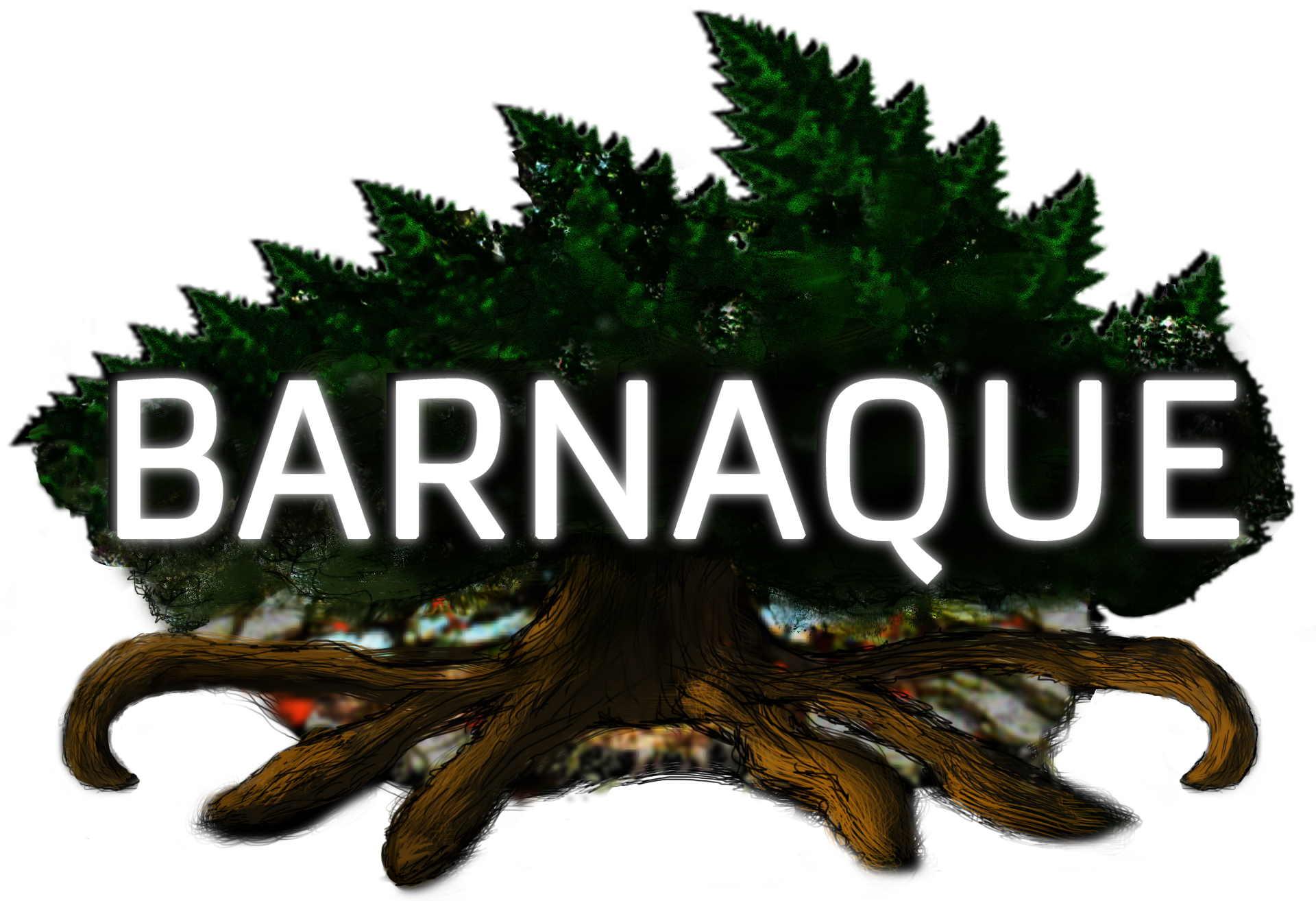 Barnaque_LOGO-Nouveau2017.png