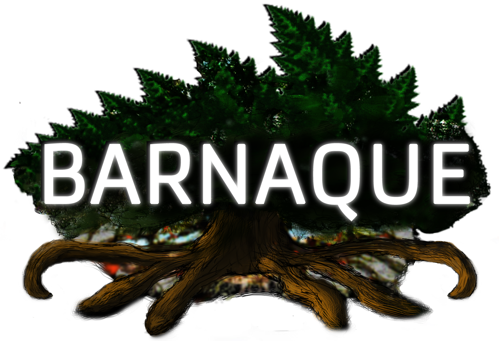 Barnaque_LOGO-Nouveau2017-FondBlanc.png