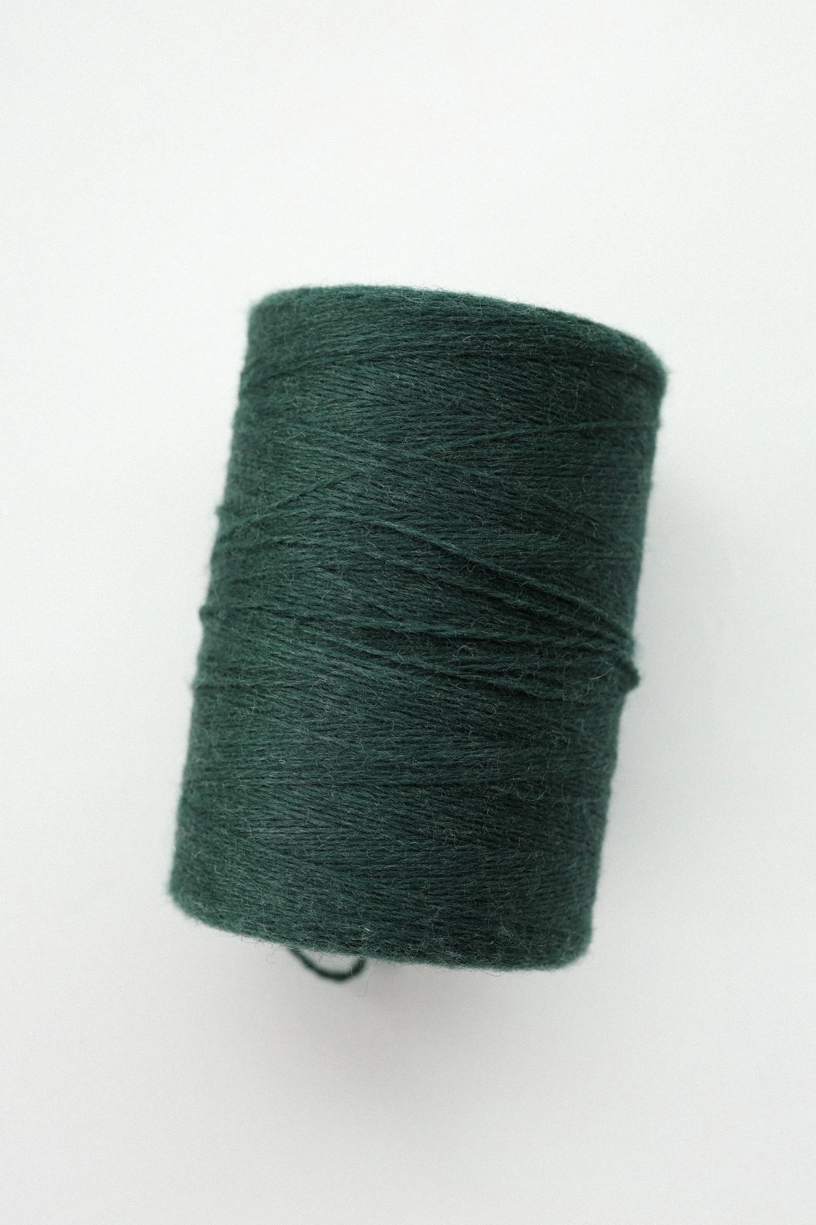 EM6A5282.jpg