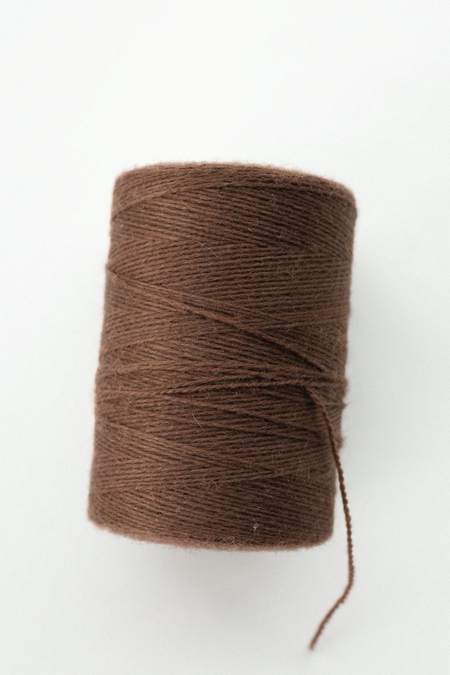 EM6A5288.jpg
