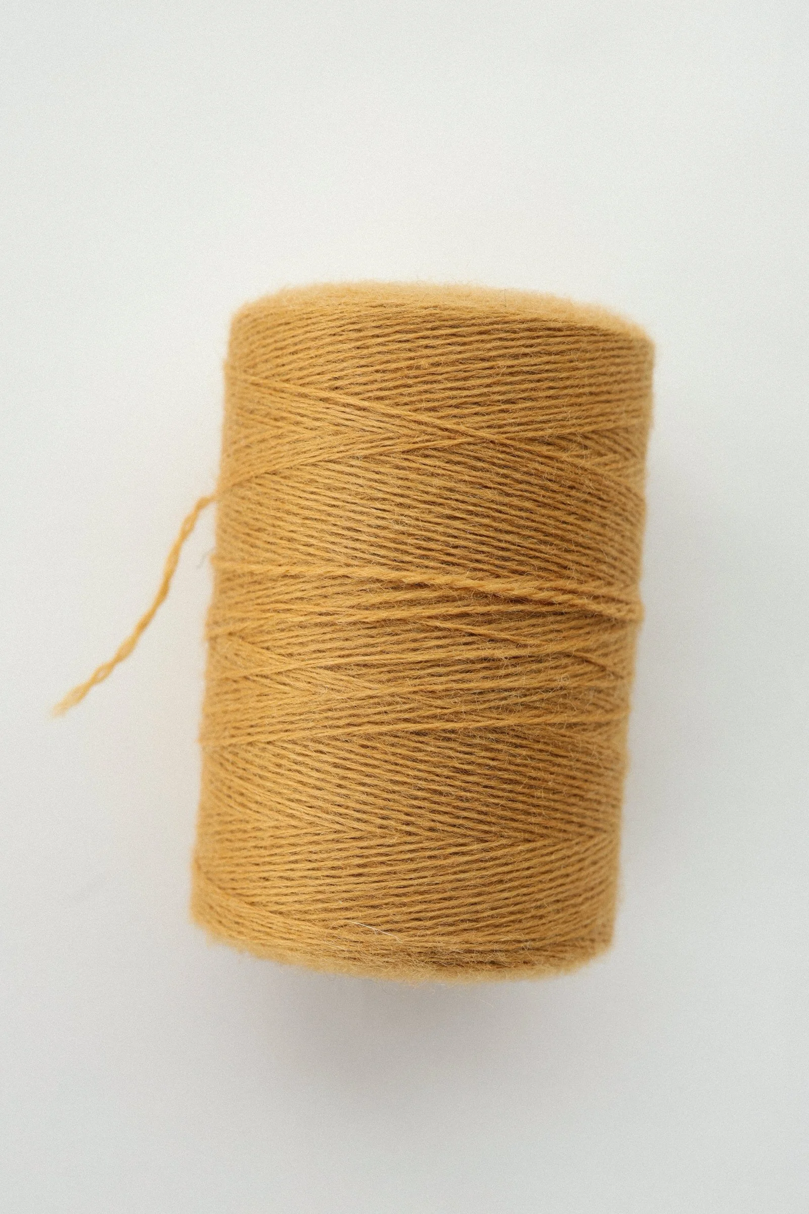 EM6A5278.jpg