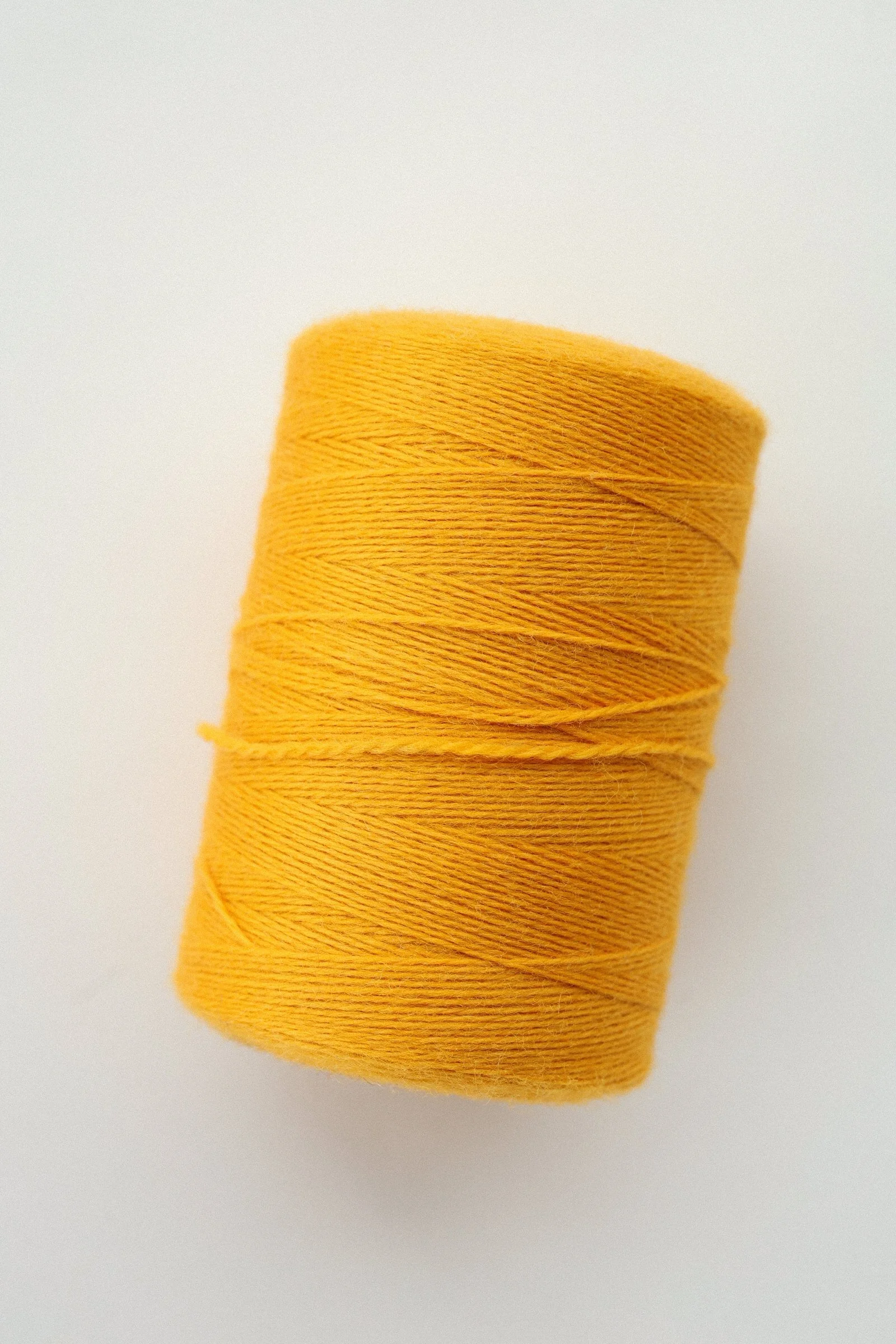 EM6A5277.jpg