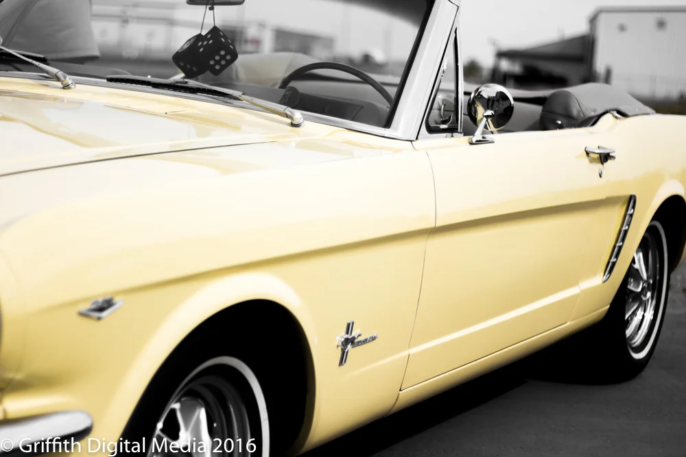 Midway 2016 (11 of 29).jpg