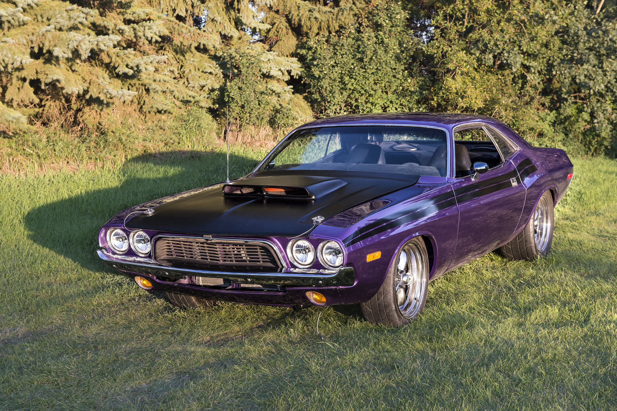   1974 Dodge Challenger    This Car was complete restored locally in a frame off restoration  
  
  
&nbsp;  
&nbsp;  
&nbsp;  
&nbsp;  
&nbsp;  
&nbsp;  
&nbsp;  
&nbsp;  
&nbsp;  
&nbsp;  
&nbsp;  
&nbsp;  
  
  
  
  
  
  
  hich took place over 