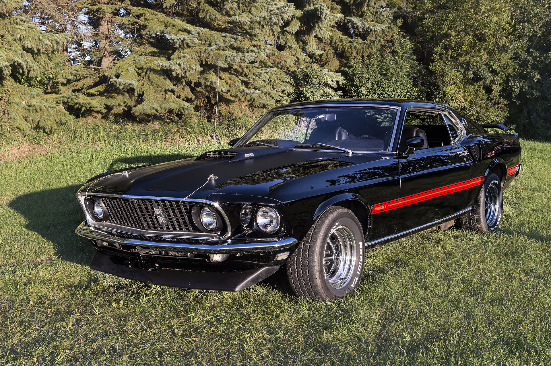  1969 Mustang Mach 1  This car was pursued by the present owner for over 20 years. The previous owner decided to sell it, but only to someone would appreciate it and take it to the next level, which was exactly why the present owner was the only one 