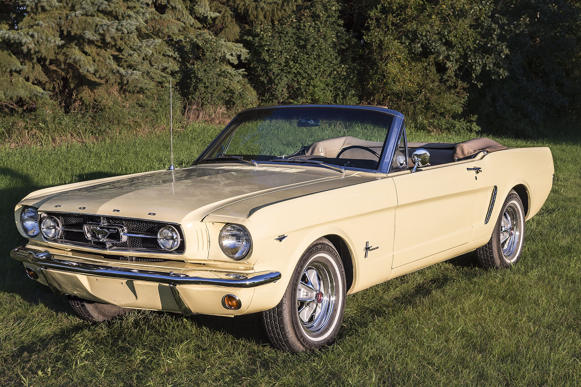   1964 1/2 Mustang Convertible    Built April 23, 1964. This car was completely rebuilt in 2011 on a rotisserie, detailed underneath and then reassembled. Colour is Sunlight Yellow with Palomino interior, 289 engine was balanced and blueprinted, and 