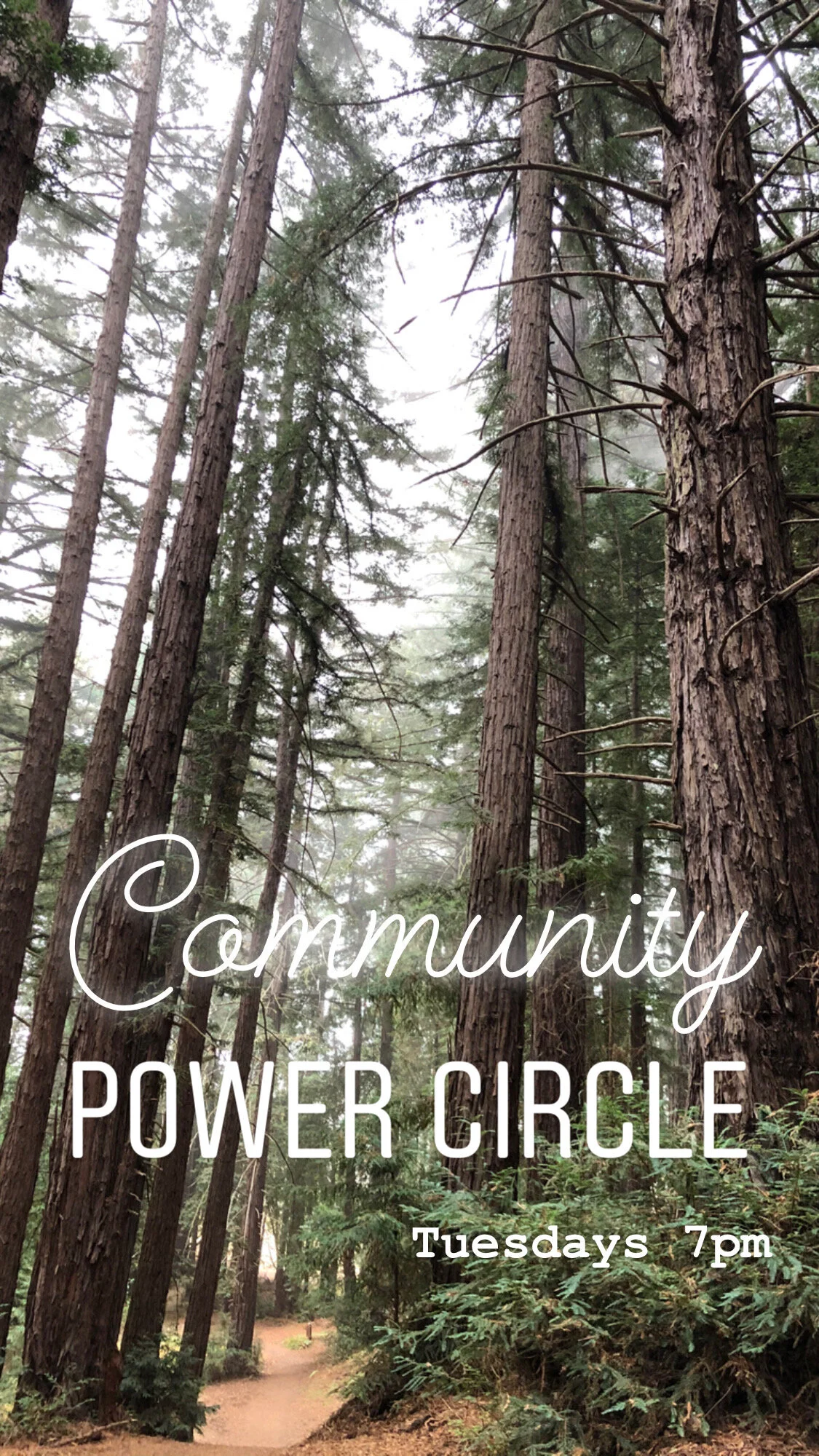 Pine_Power_Circle.JPG