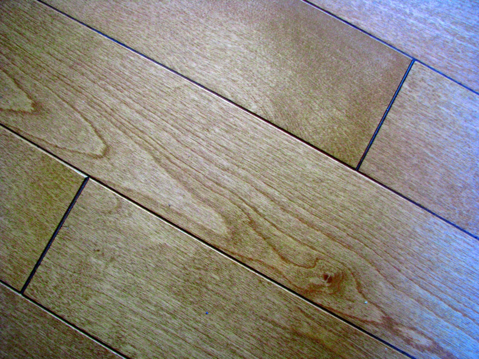 Flooring Solutions Carpet & Vacuum Expo — CARPET & VACUUM EXPO