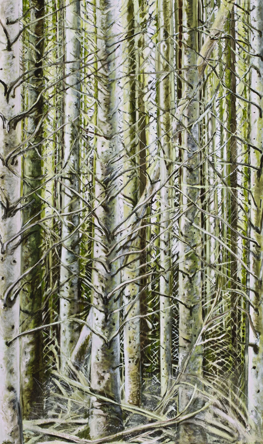 Timber, 2015