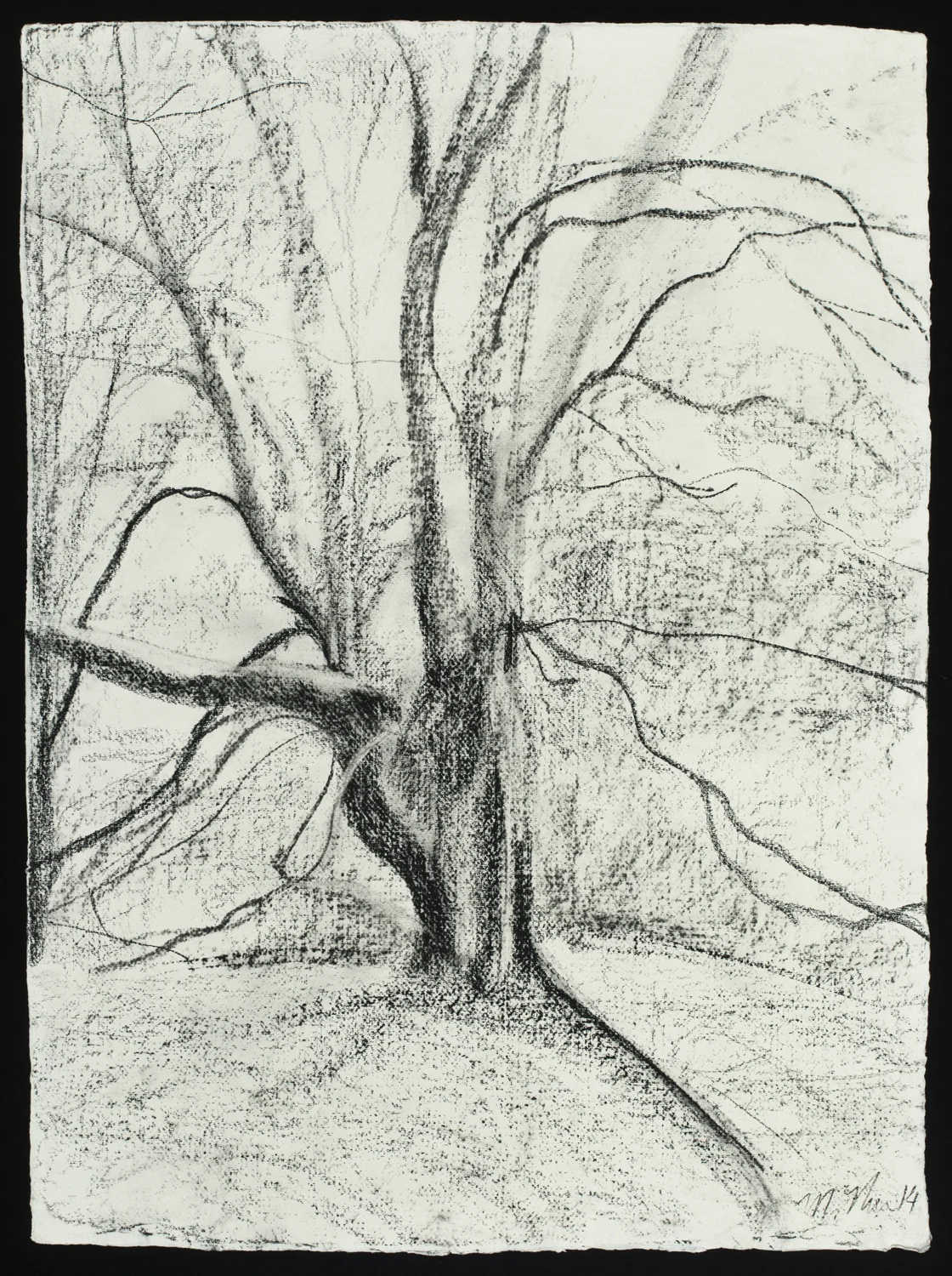 Beech, 2014