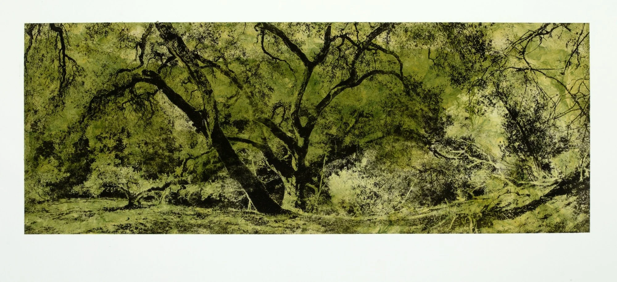 After the Rain, 2024