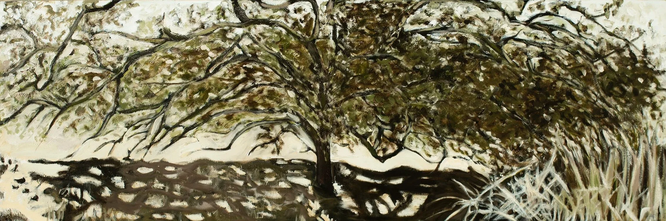 Wild Oak, Sunol