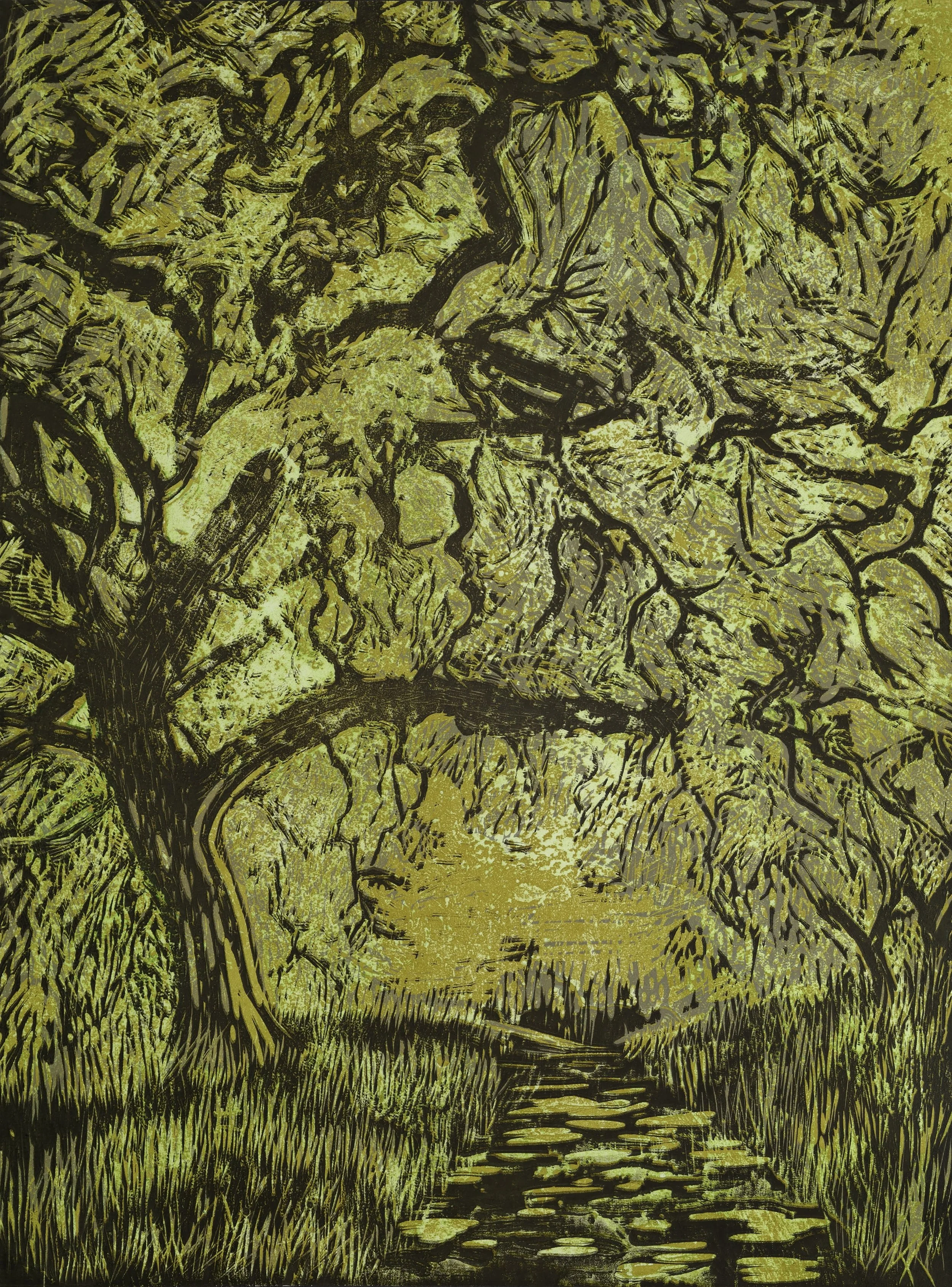Valley Oak 2/10