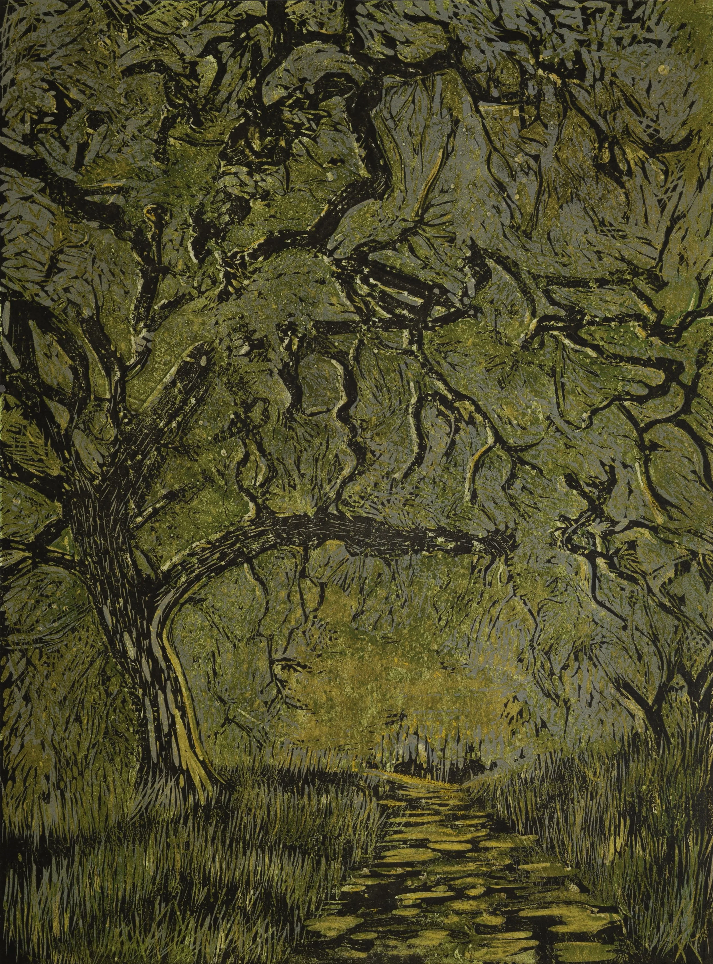 Valley Oak 6/10