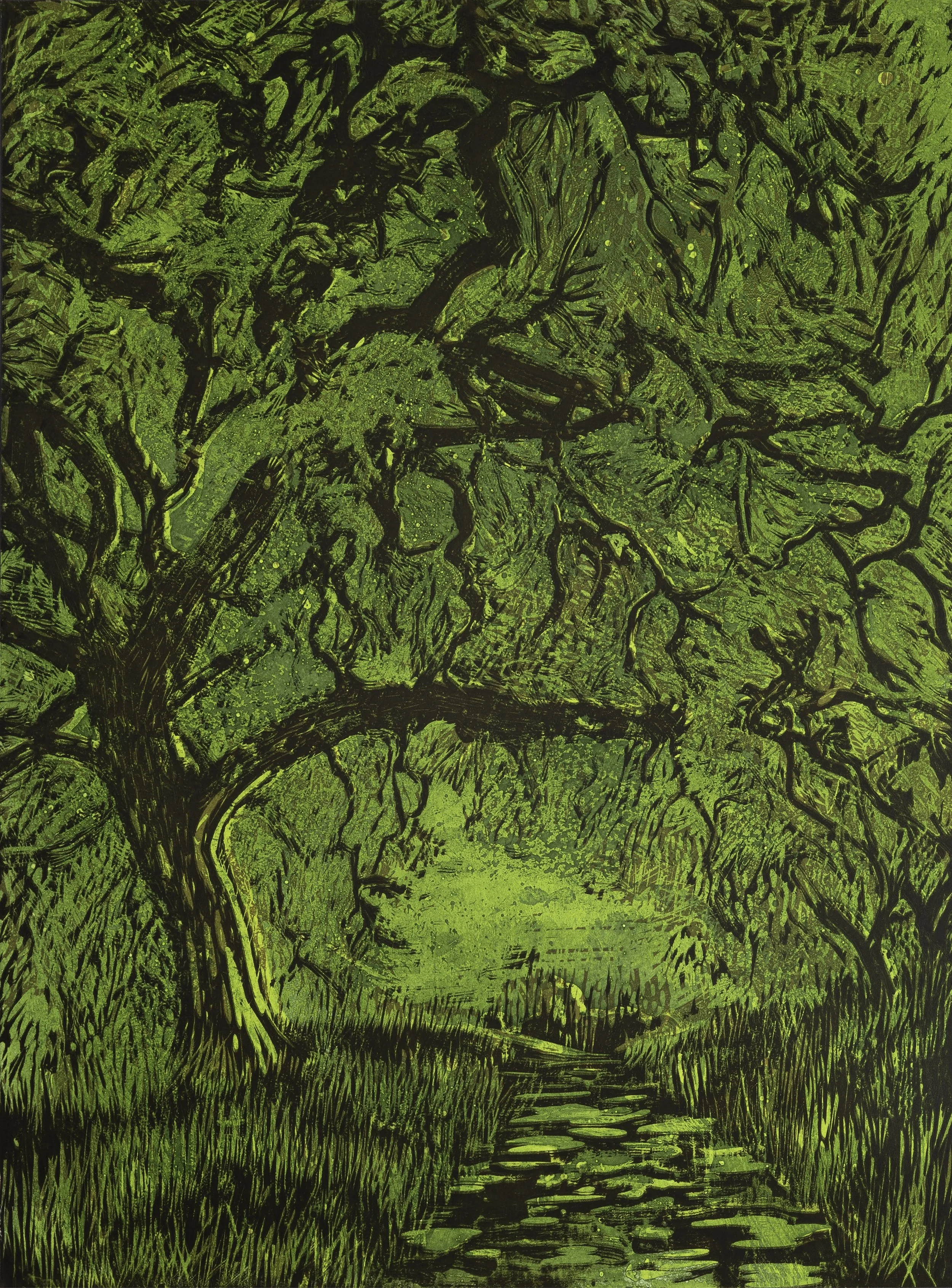 Valley Oak 8/10