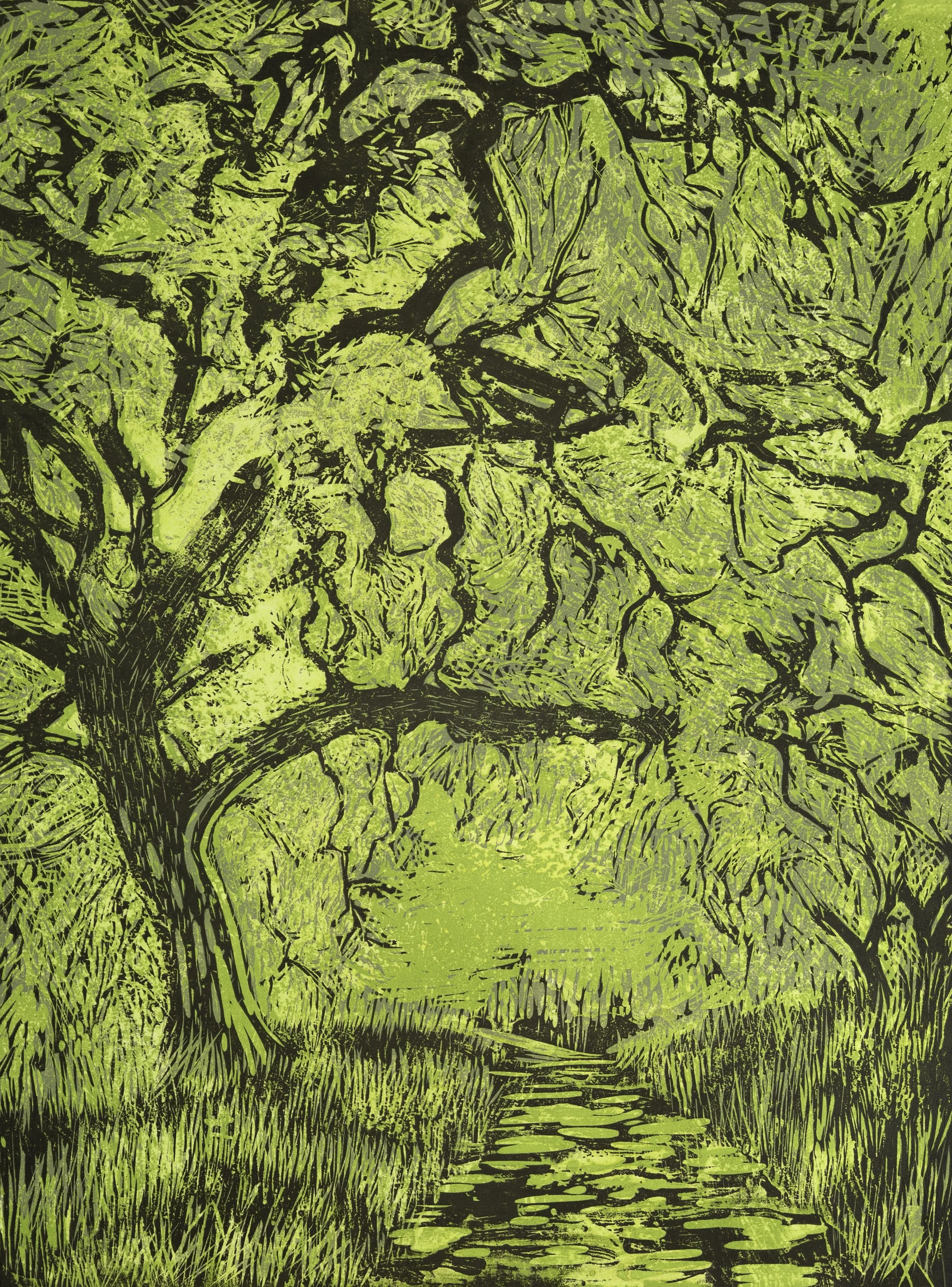 Valley Oak 9/10
