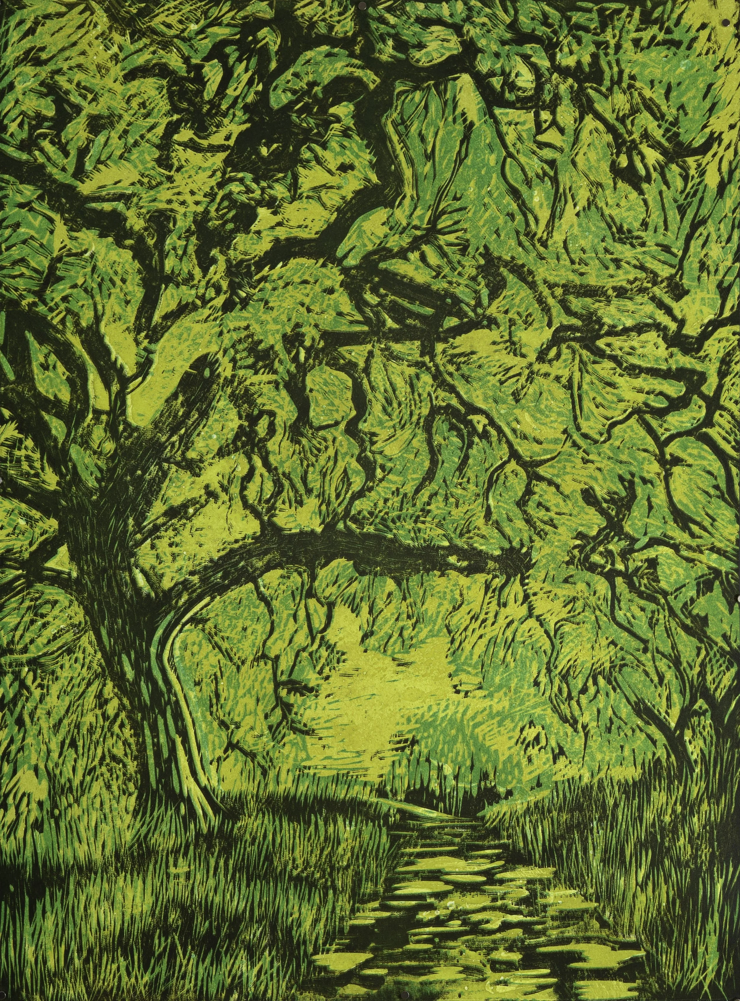 Valley Oak 10/10