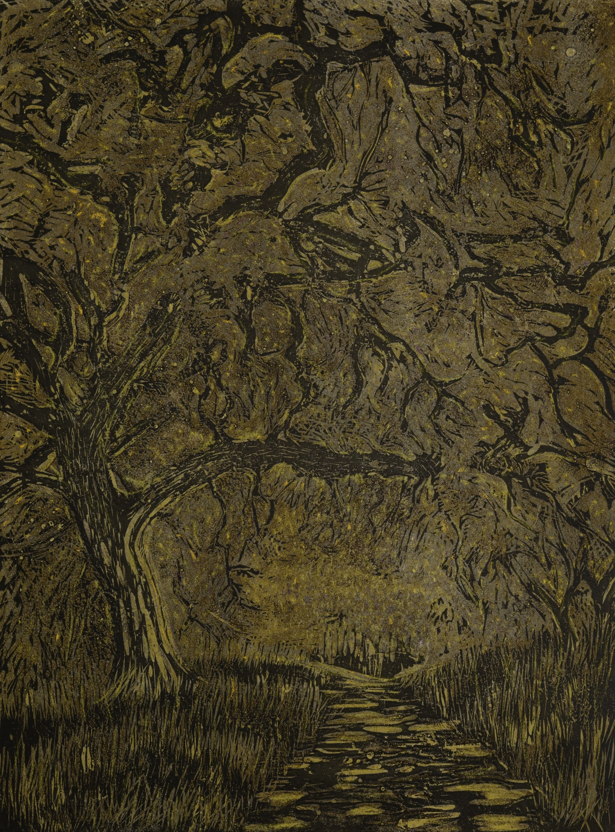 Valley Oak 7/10