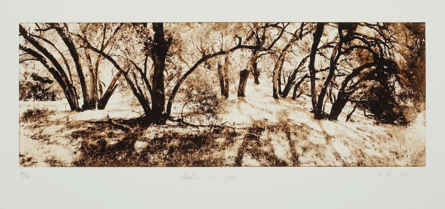 Hither n' Yon, 4/20