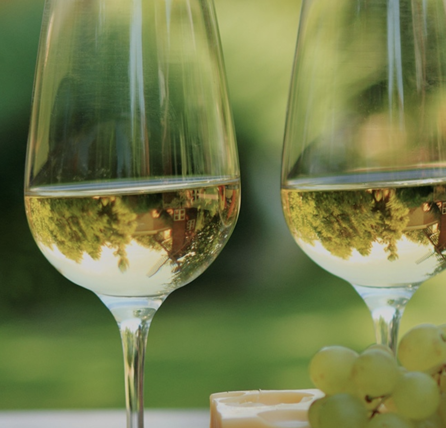 Screenshot 2026-02-21 at 12.09.04 PM.png