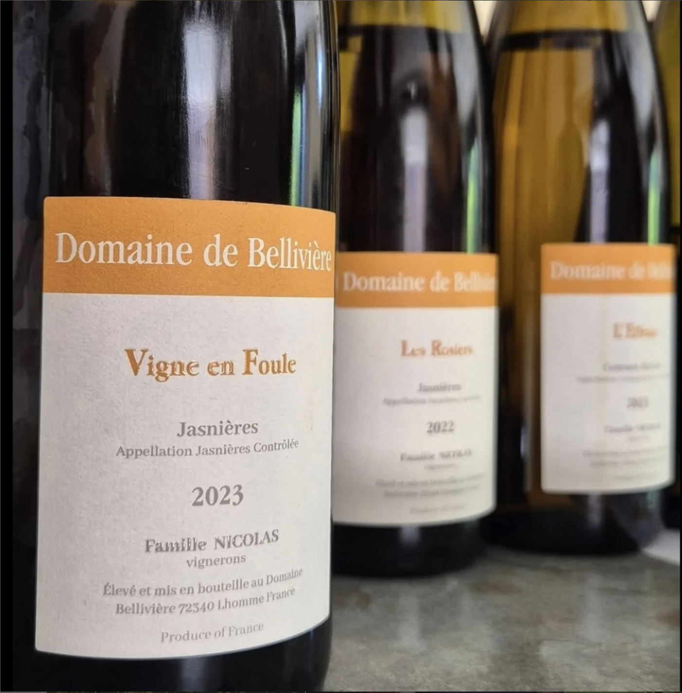 Domaine de Belliviere.png