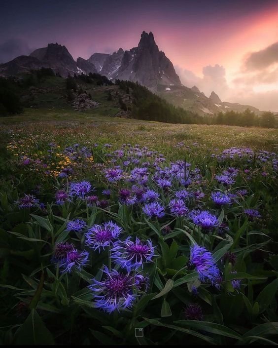 Havening Practice For Anxiety and Stress Reduction