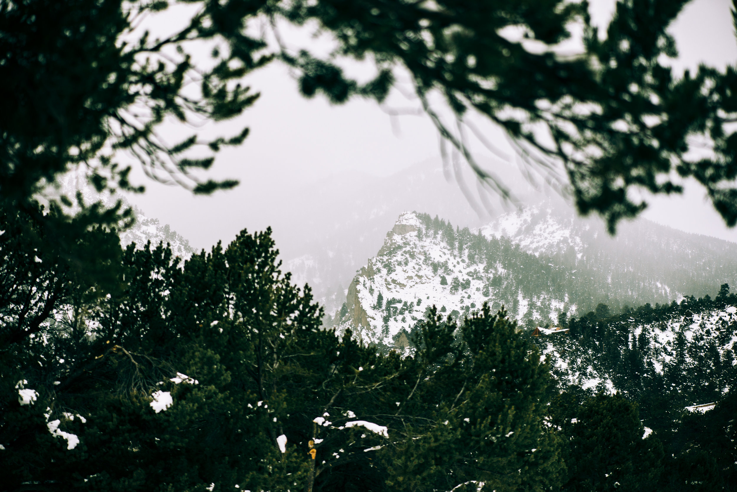 mt princeton hot springs wedding