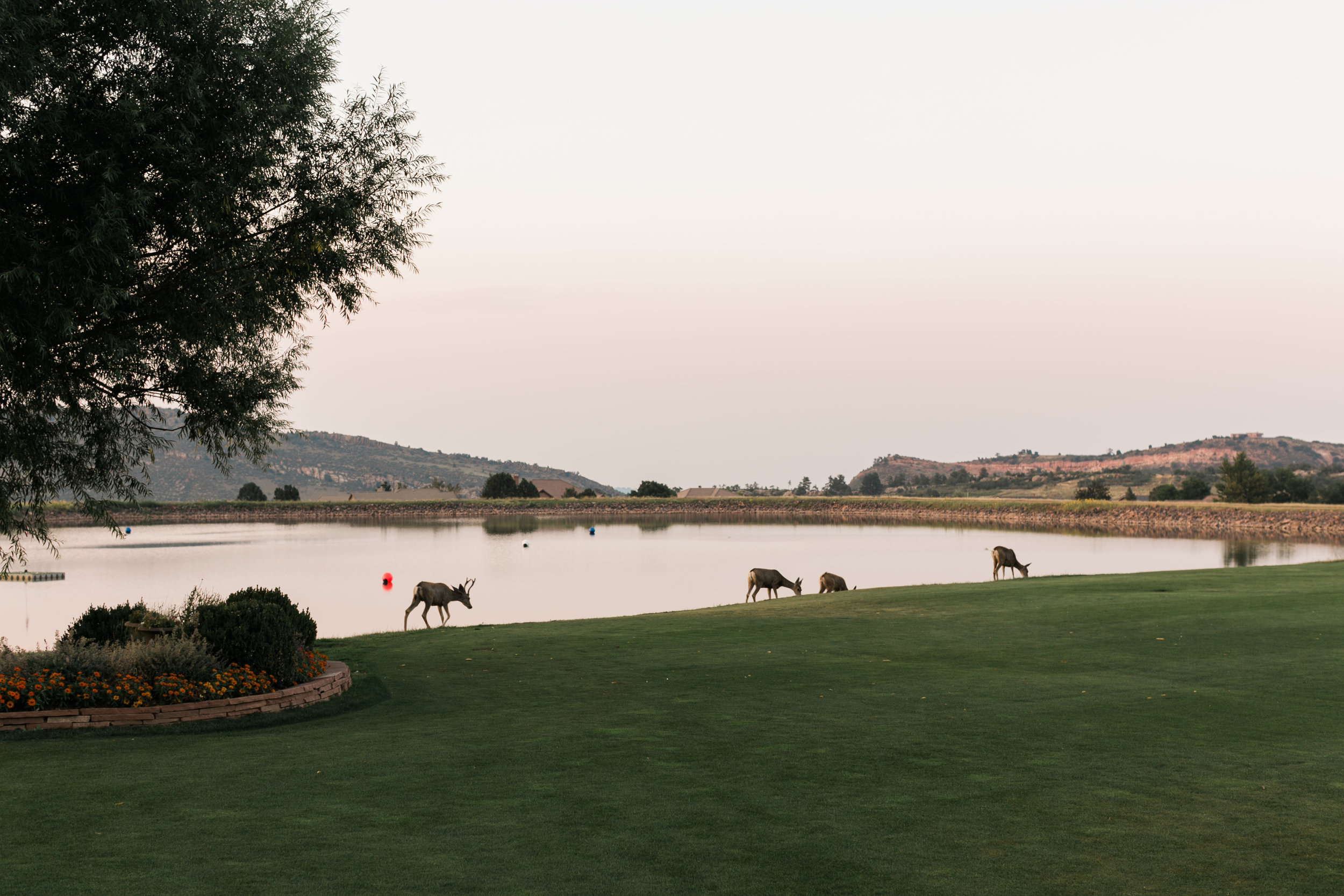 Red Rocks Country Club Wedding