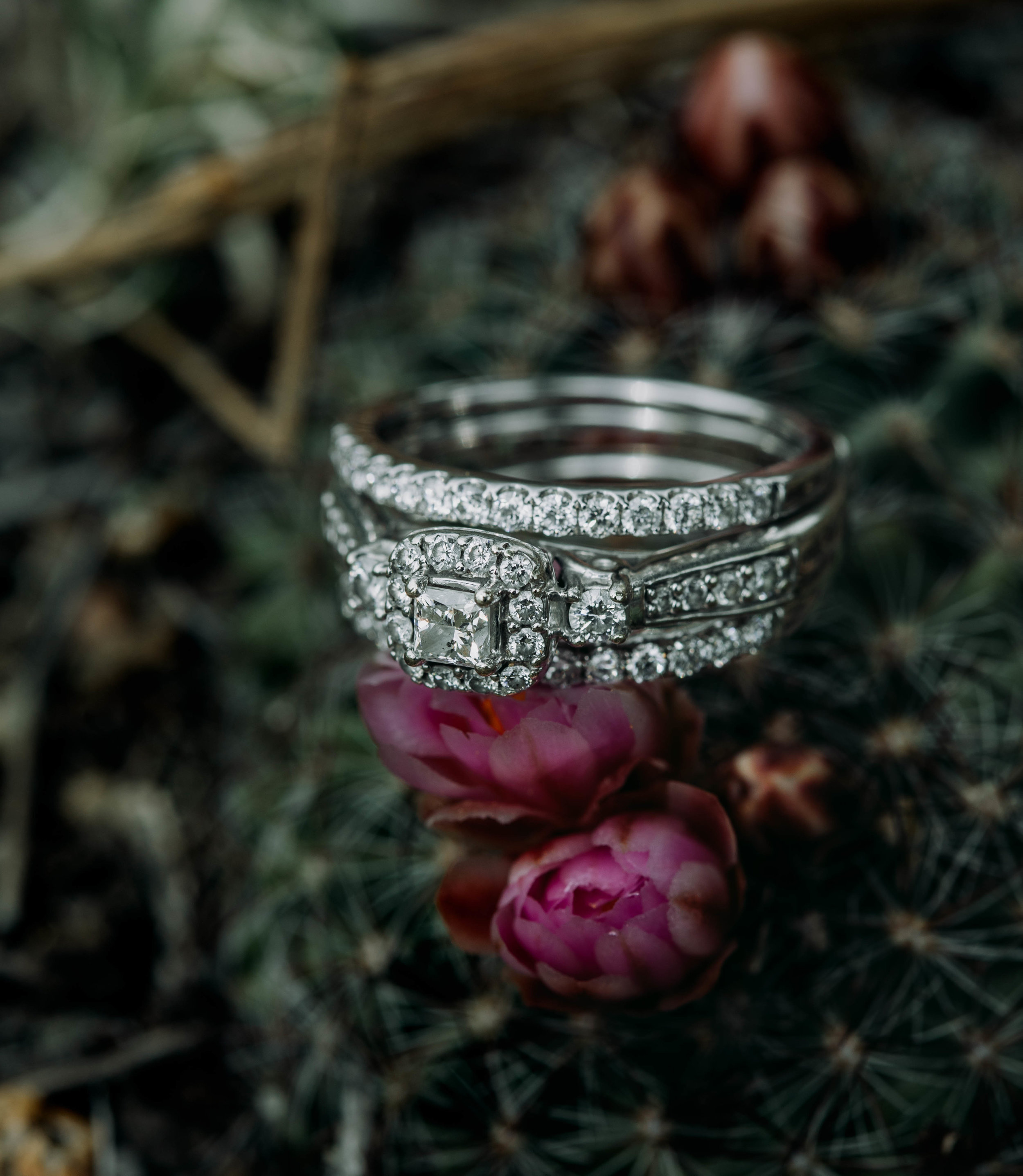 colorado elopement