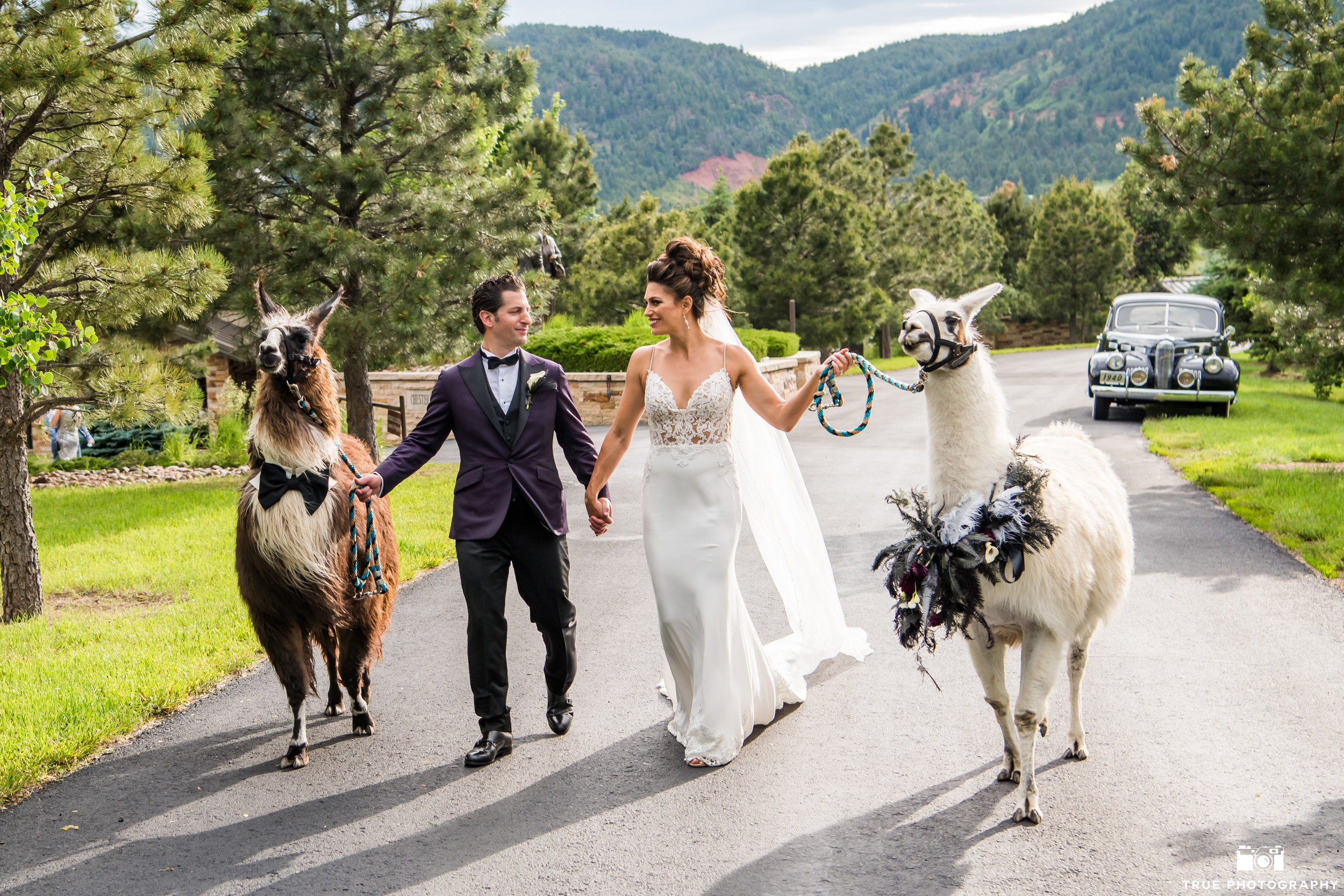 Glamorous Great Gatsby Wedding