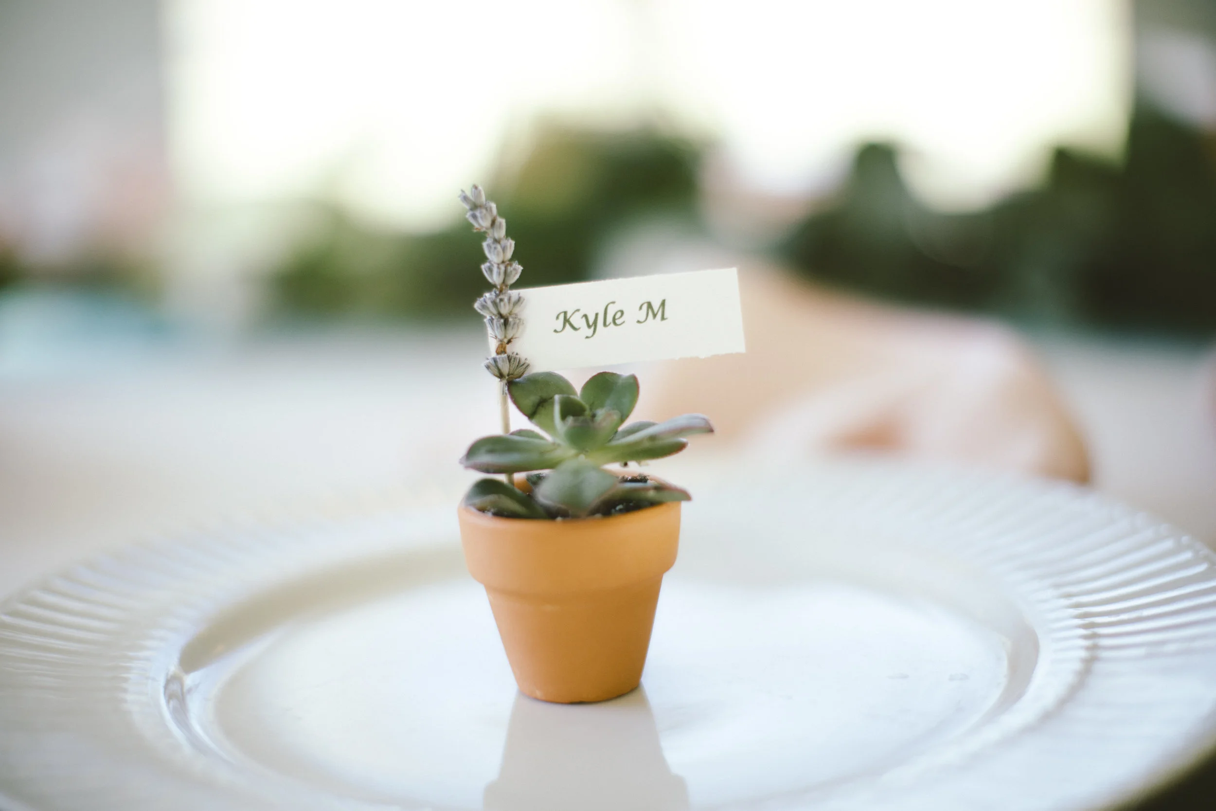 Brittany Renee Photography