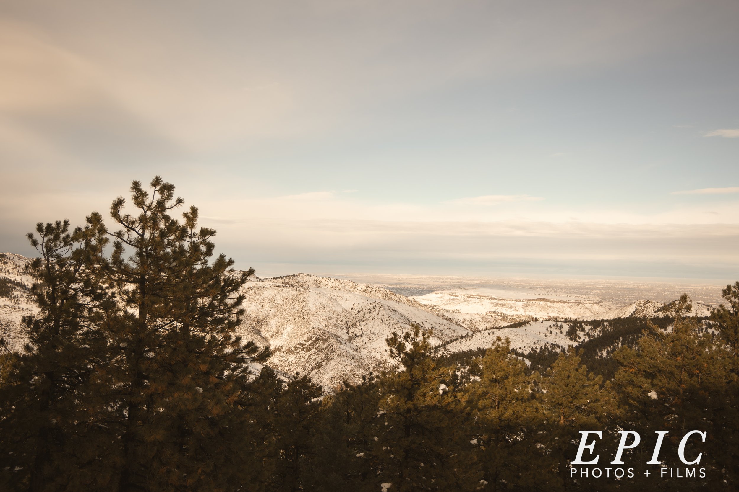 Mount Vernon Canyon Club Wedding Planner