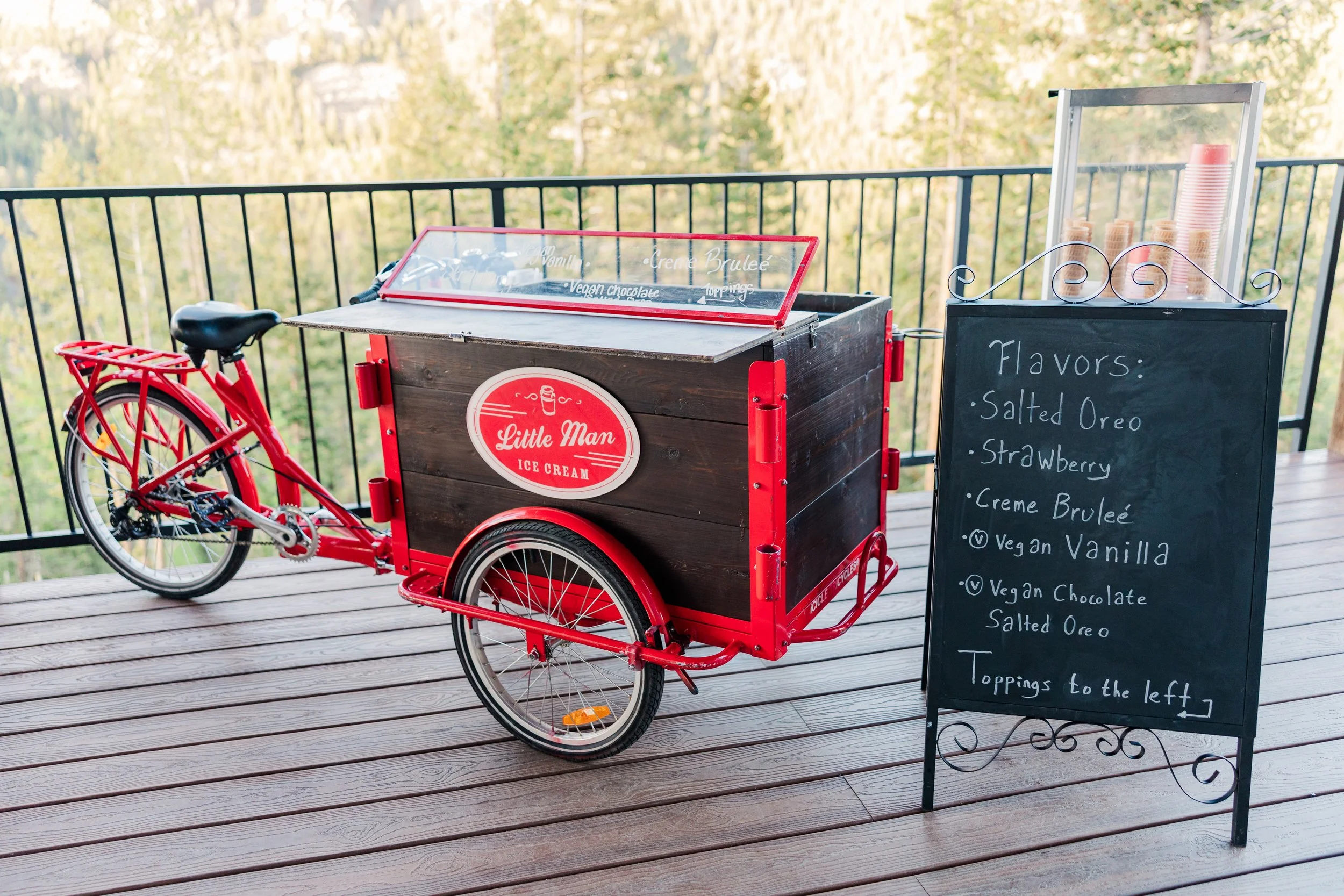 North Star Gatherings Wedding Planner